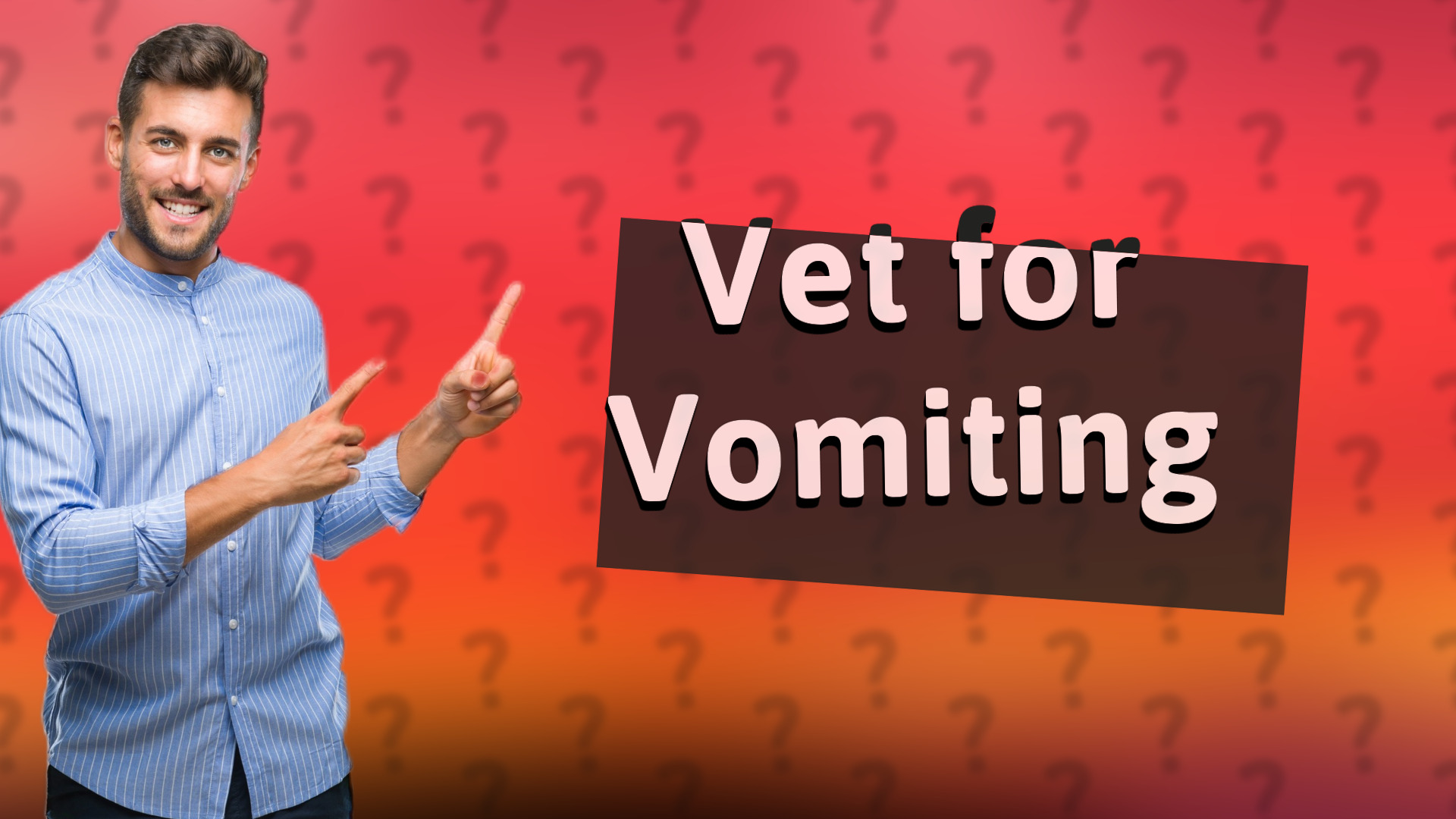 Vet for Vomiting