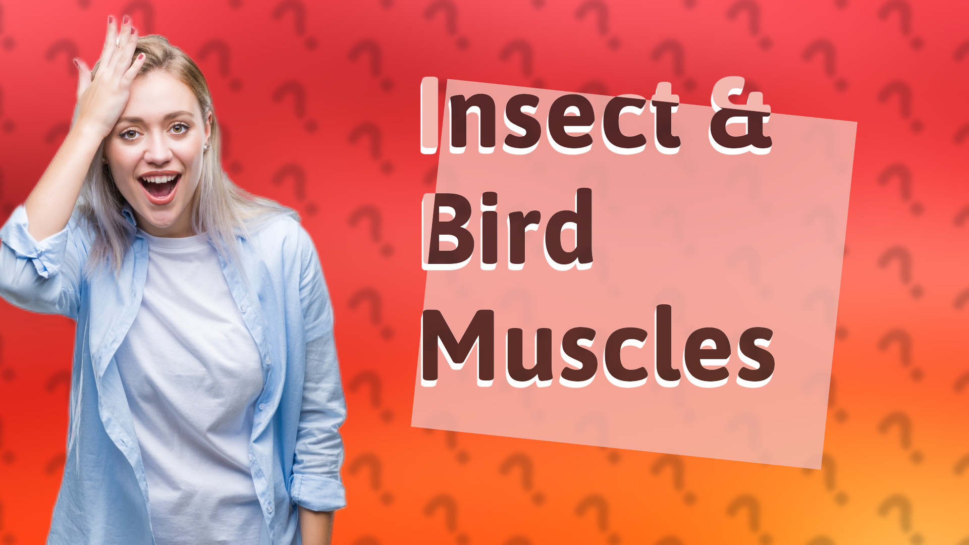 Insect & Bird Muscles