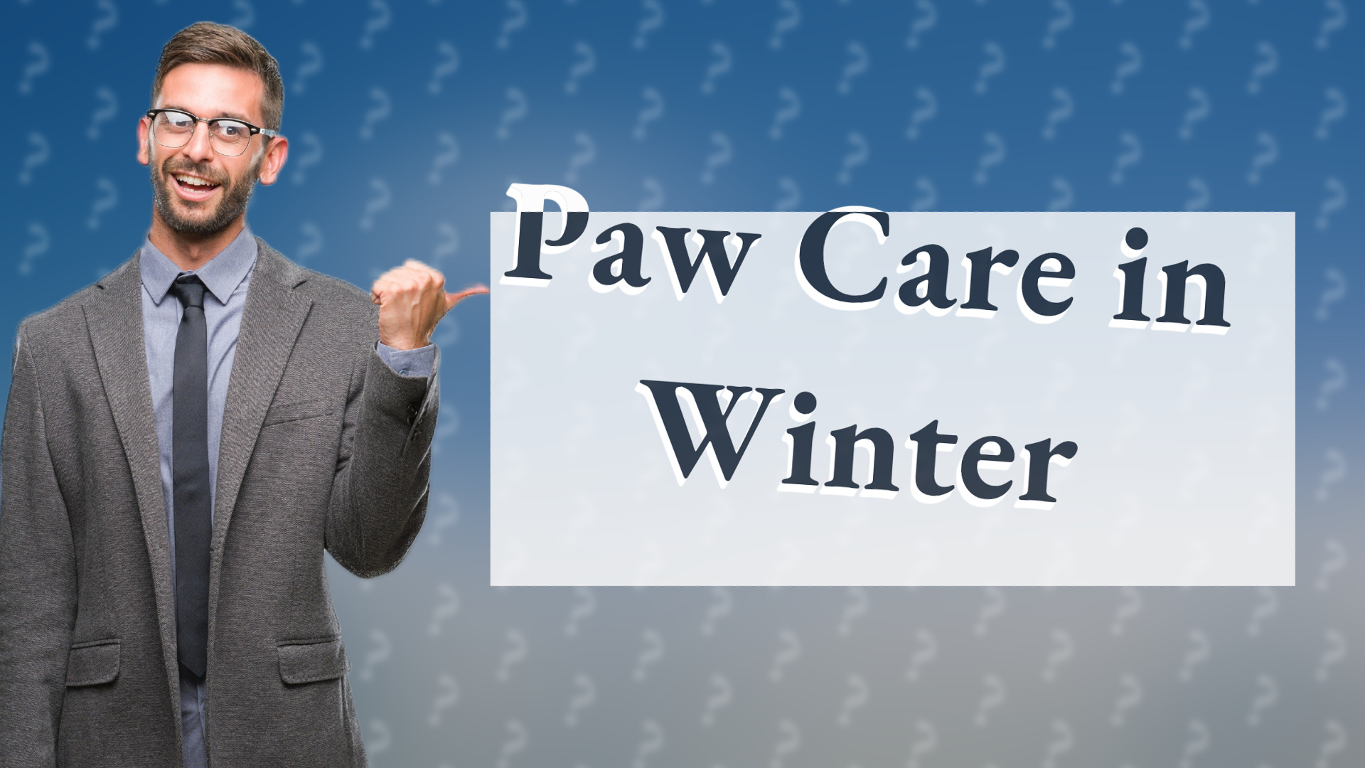 Paw Care in Winter