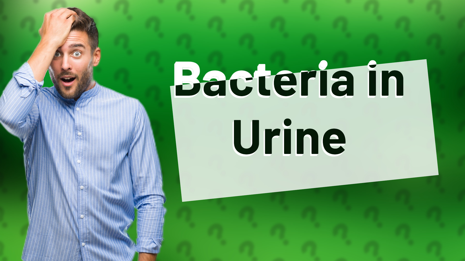 Bacteria in Urine