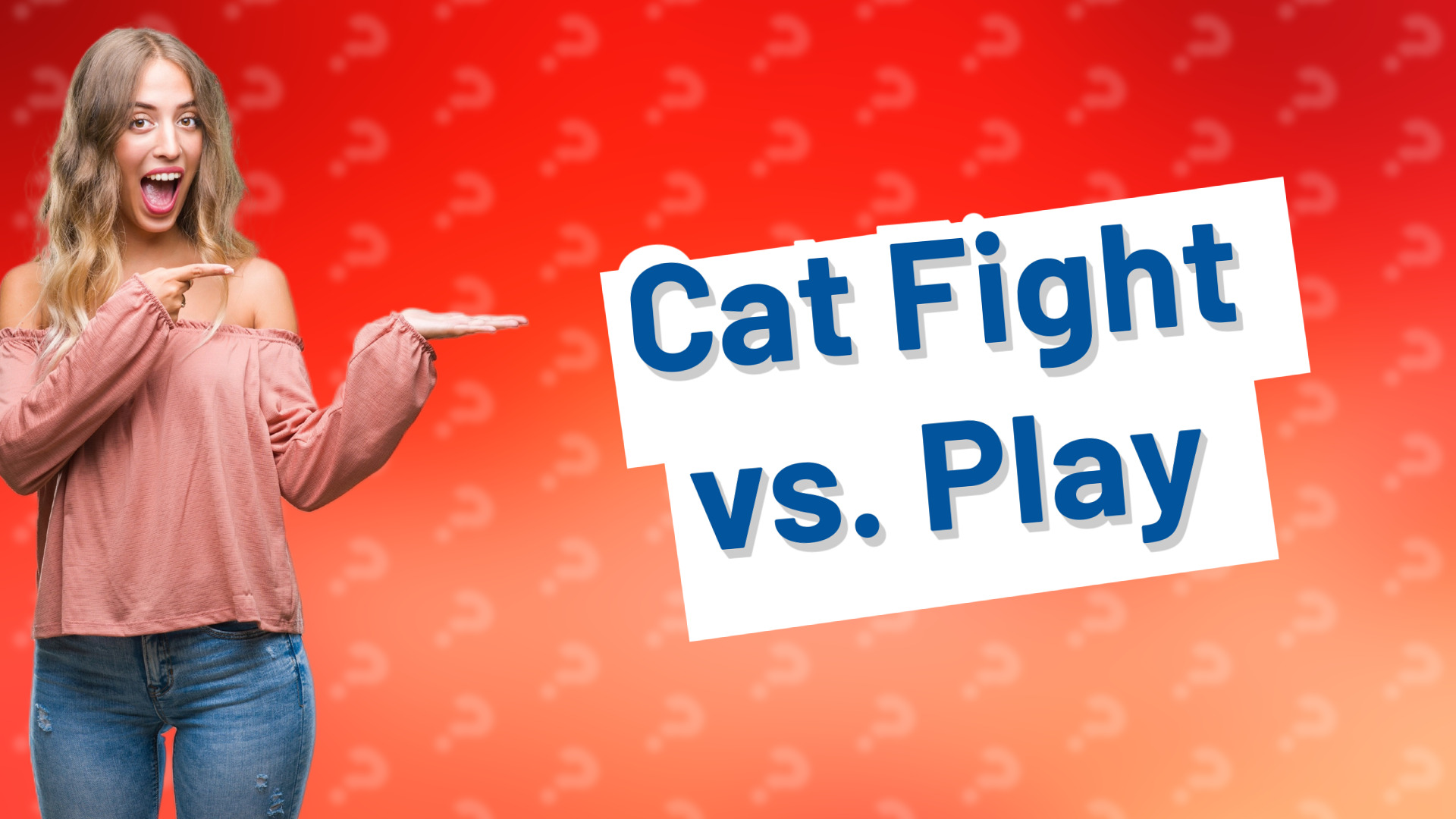 Cat Fight vs. Play