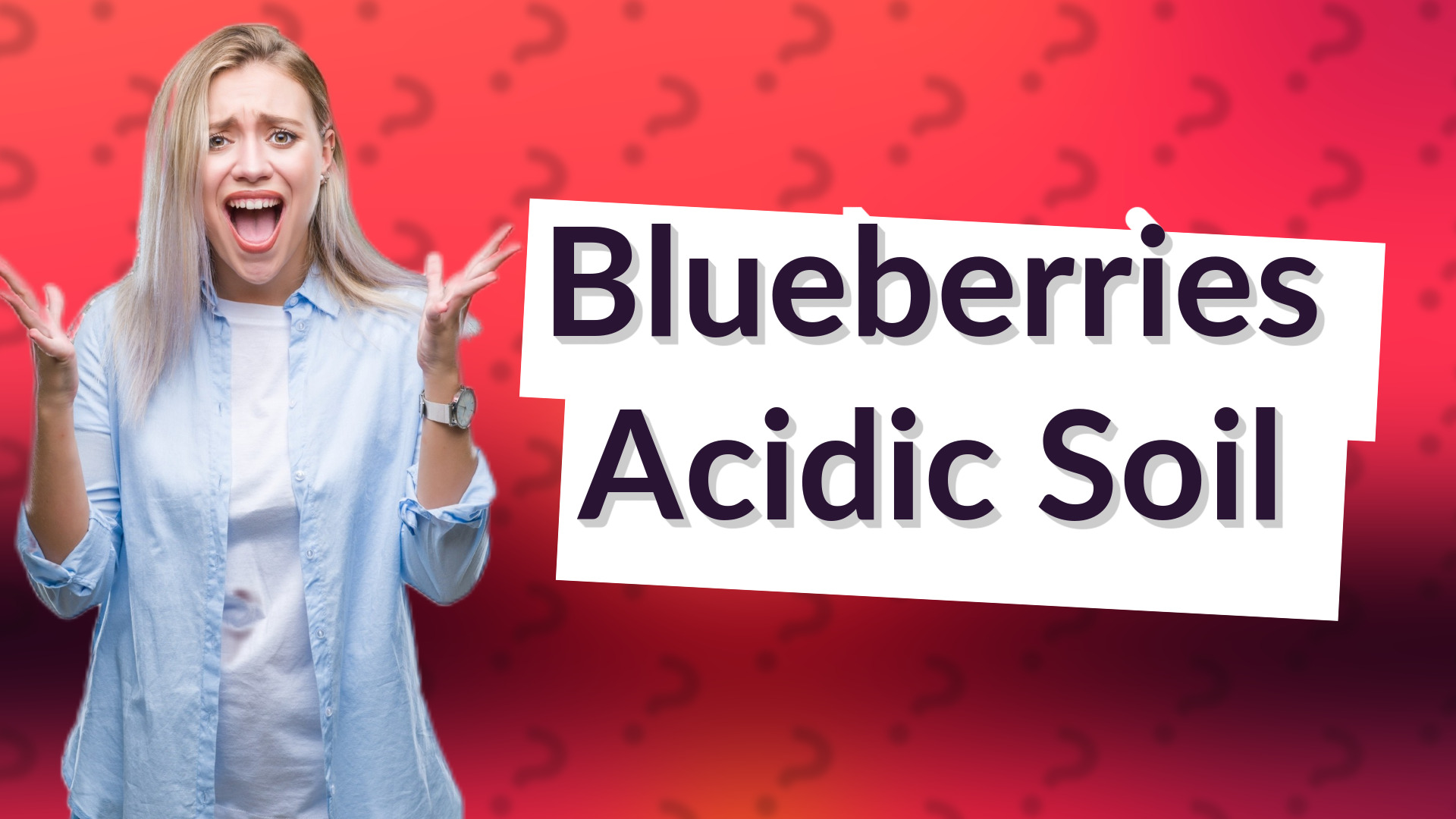 Blueberries Acidic Soil