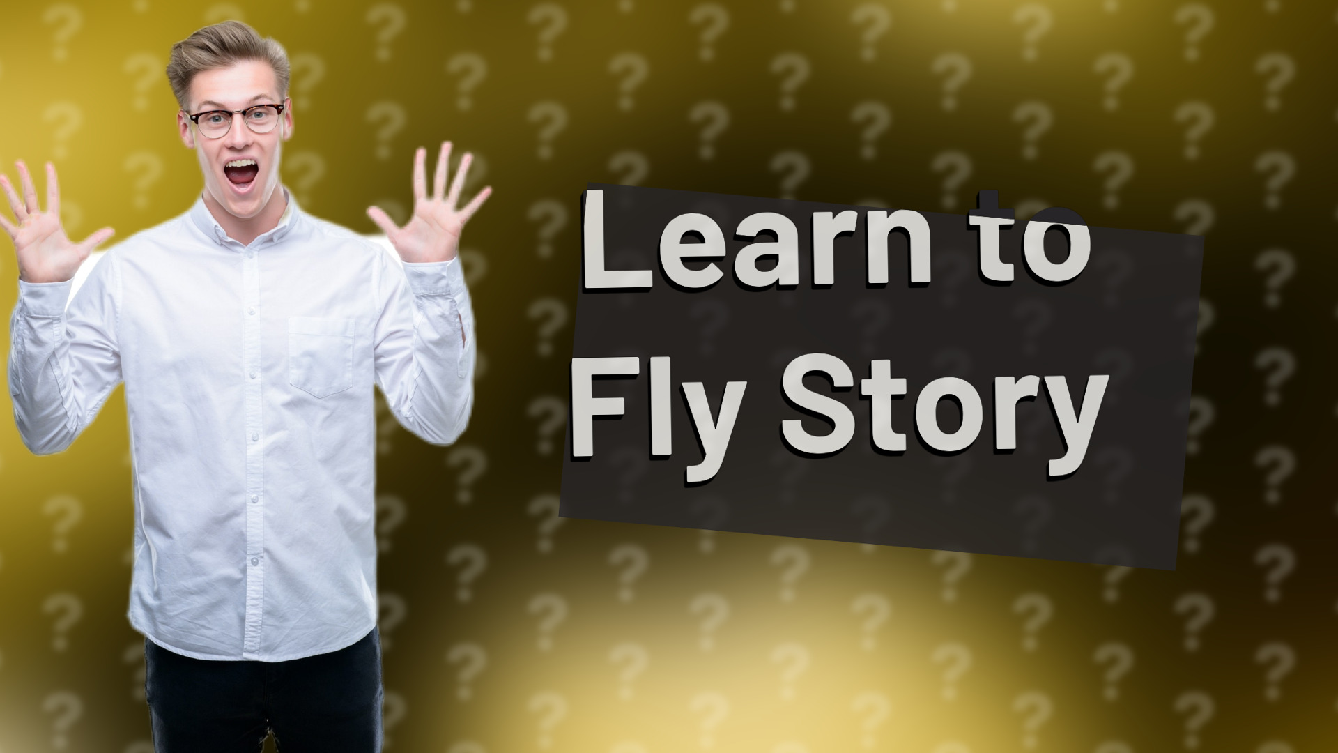 Learn to Fly Story
