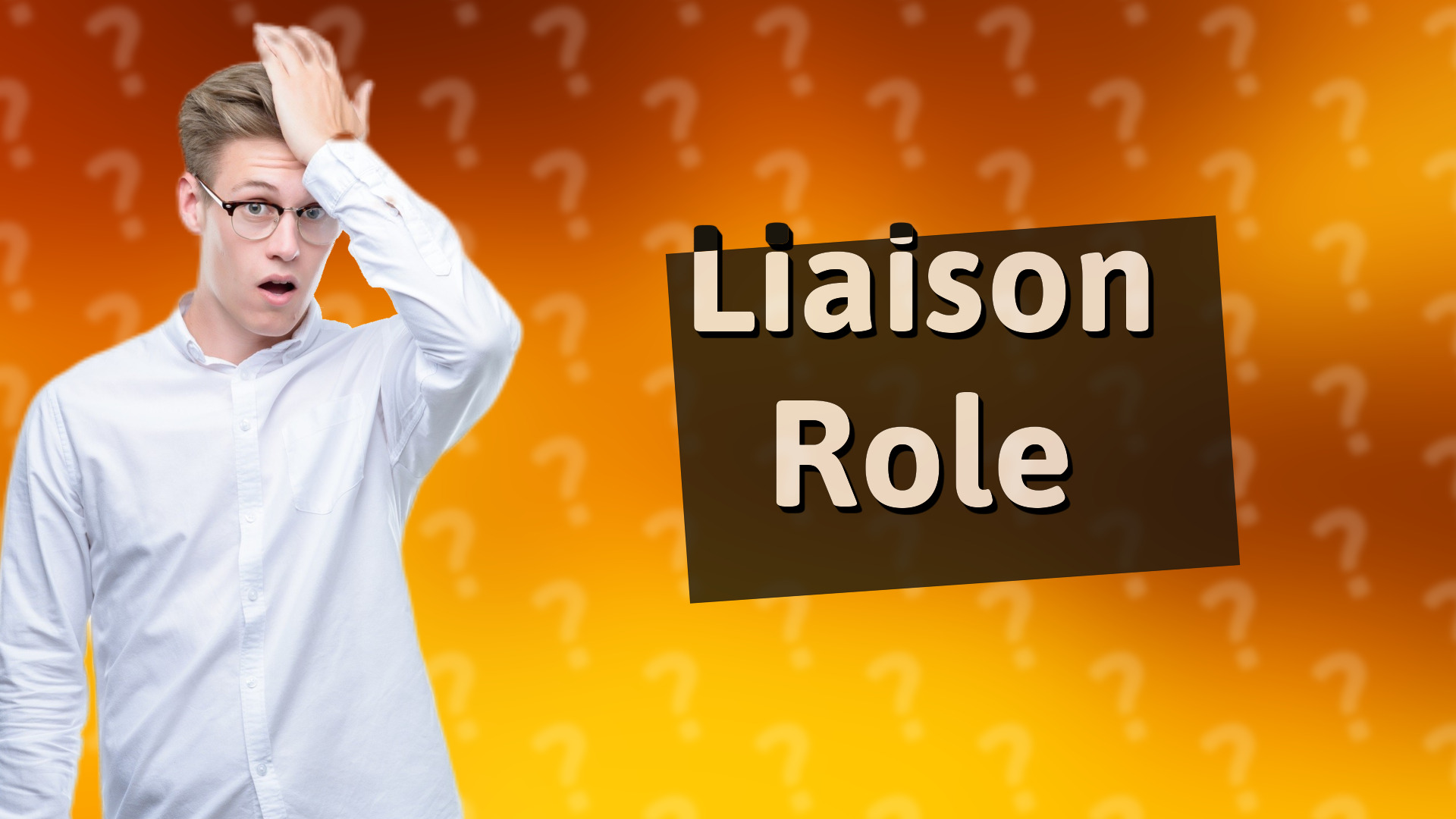 Liaison Role