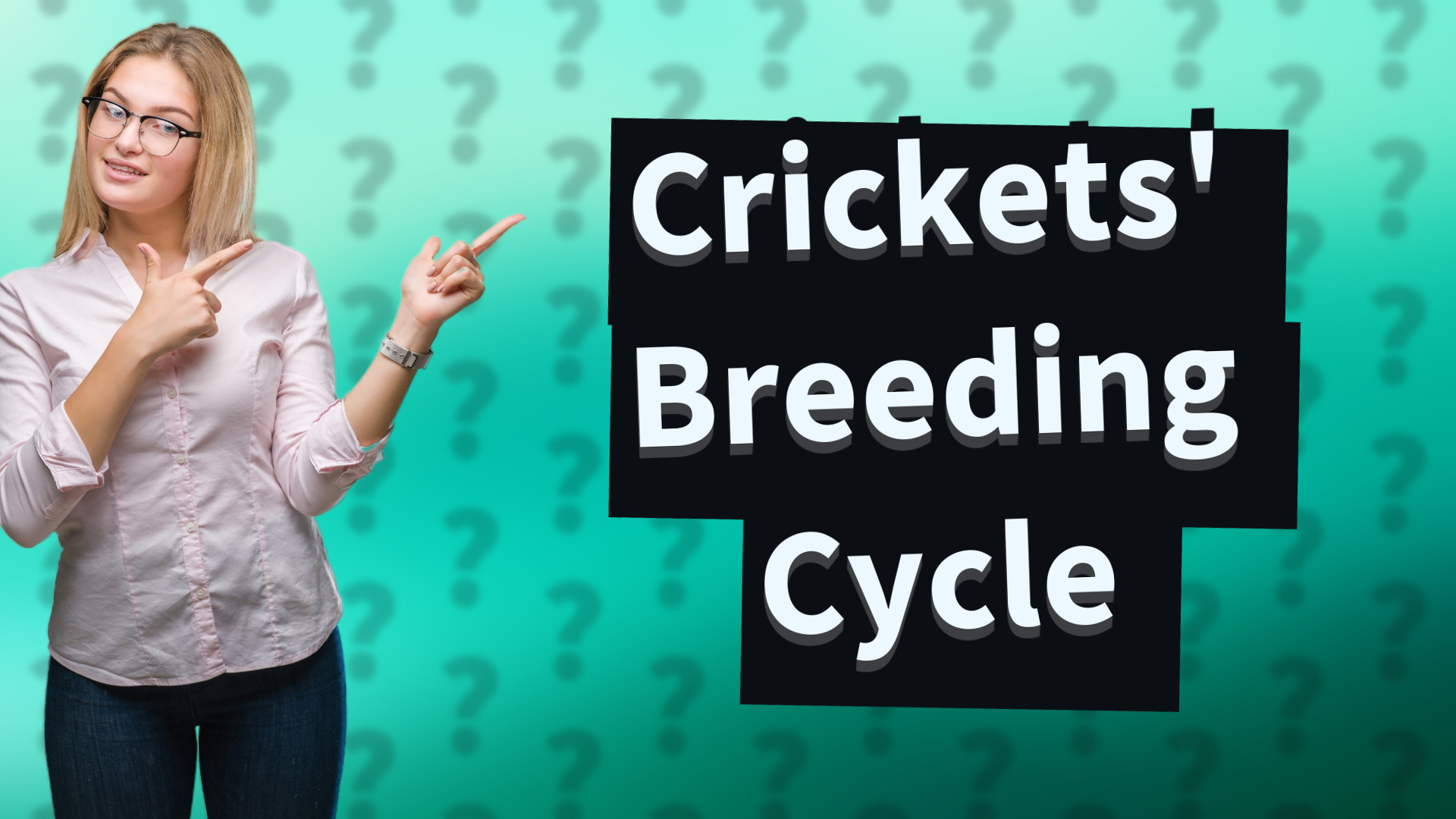 Crickets' Breeding Cycle