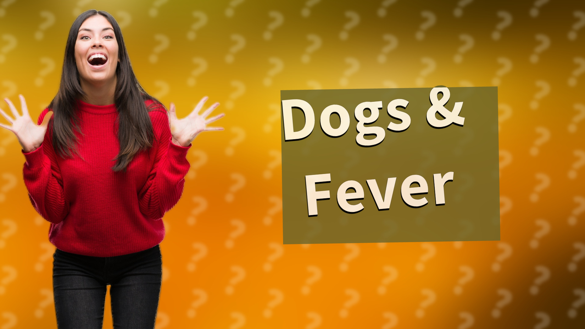Dogs & Fever