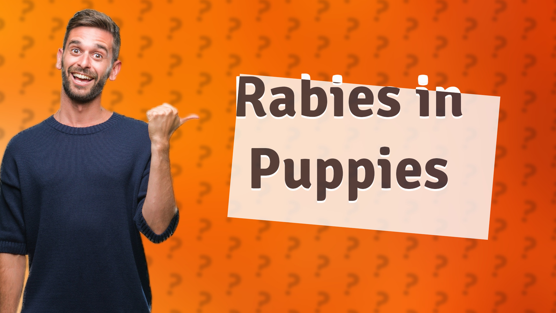 Rabies in Puppies