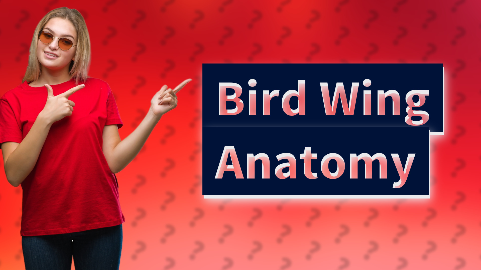 Bird Wing Anatomy