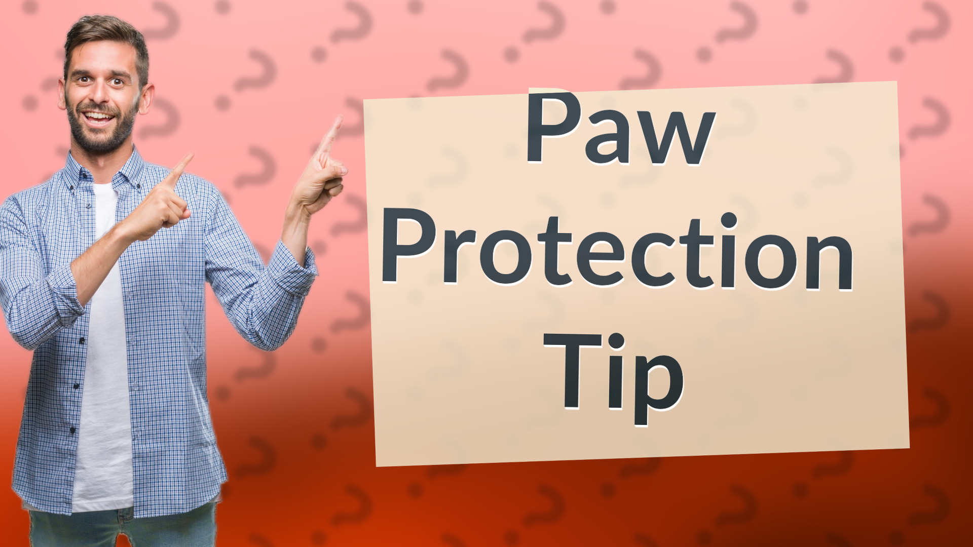 Paw Protection Tip