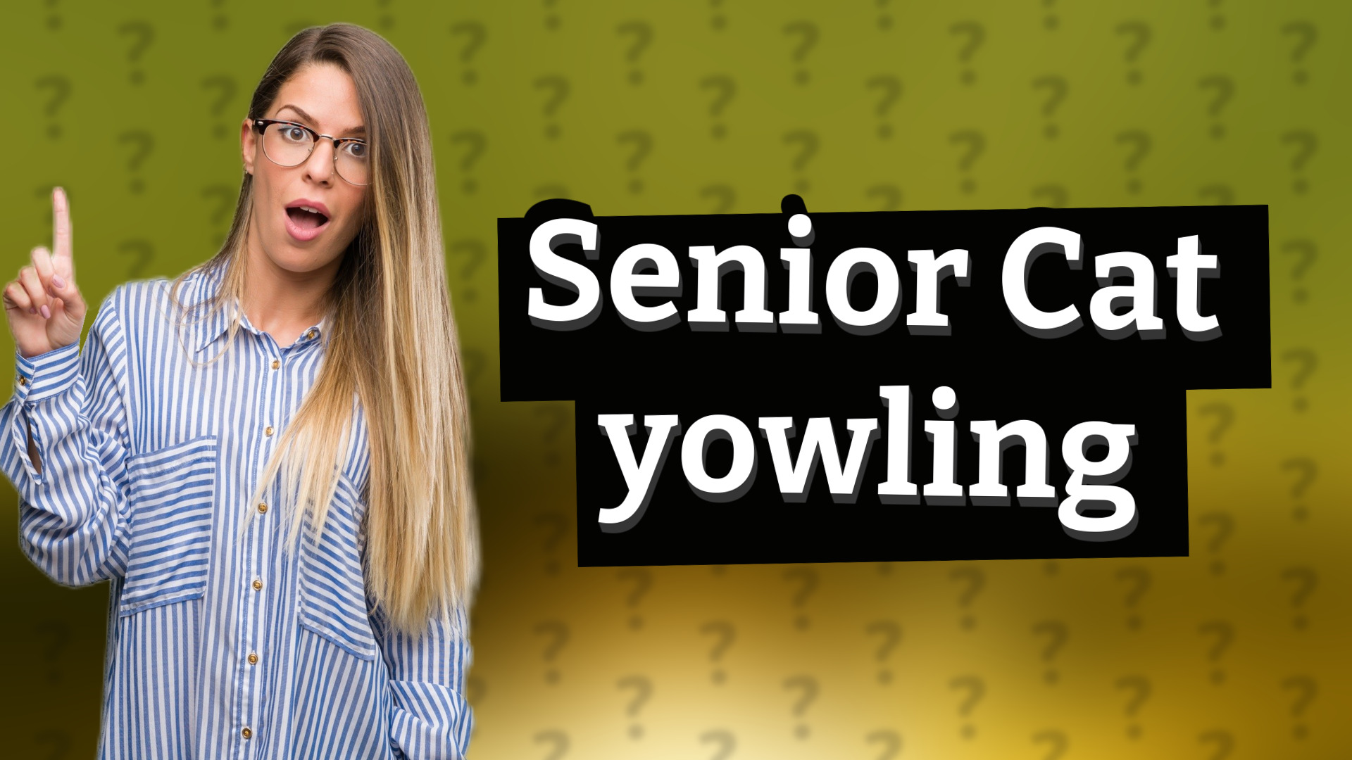 Senior Cat yowling