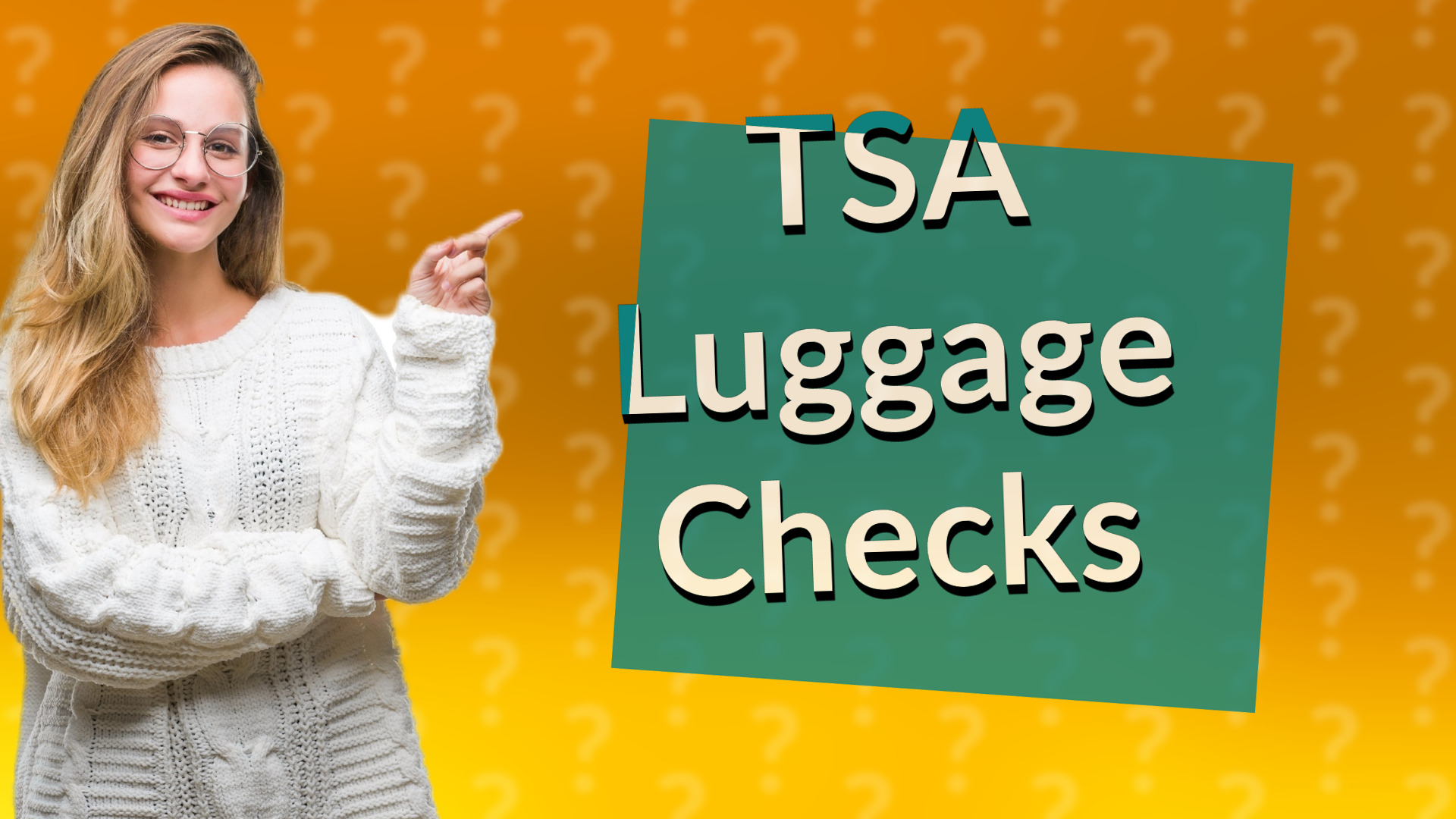 TSA Luggage Checks