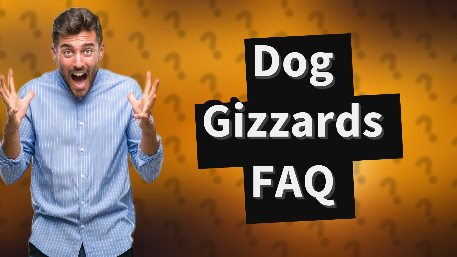 Dog Gizzards FAQ