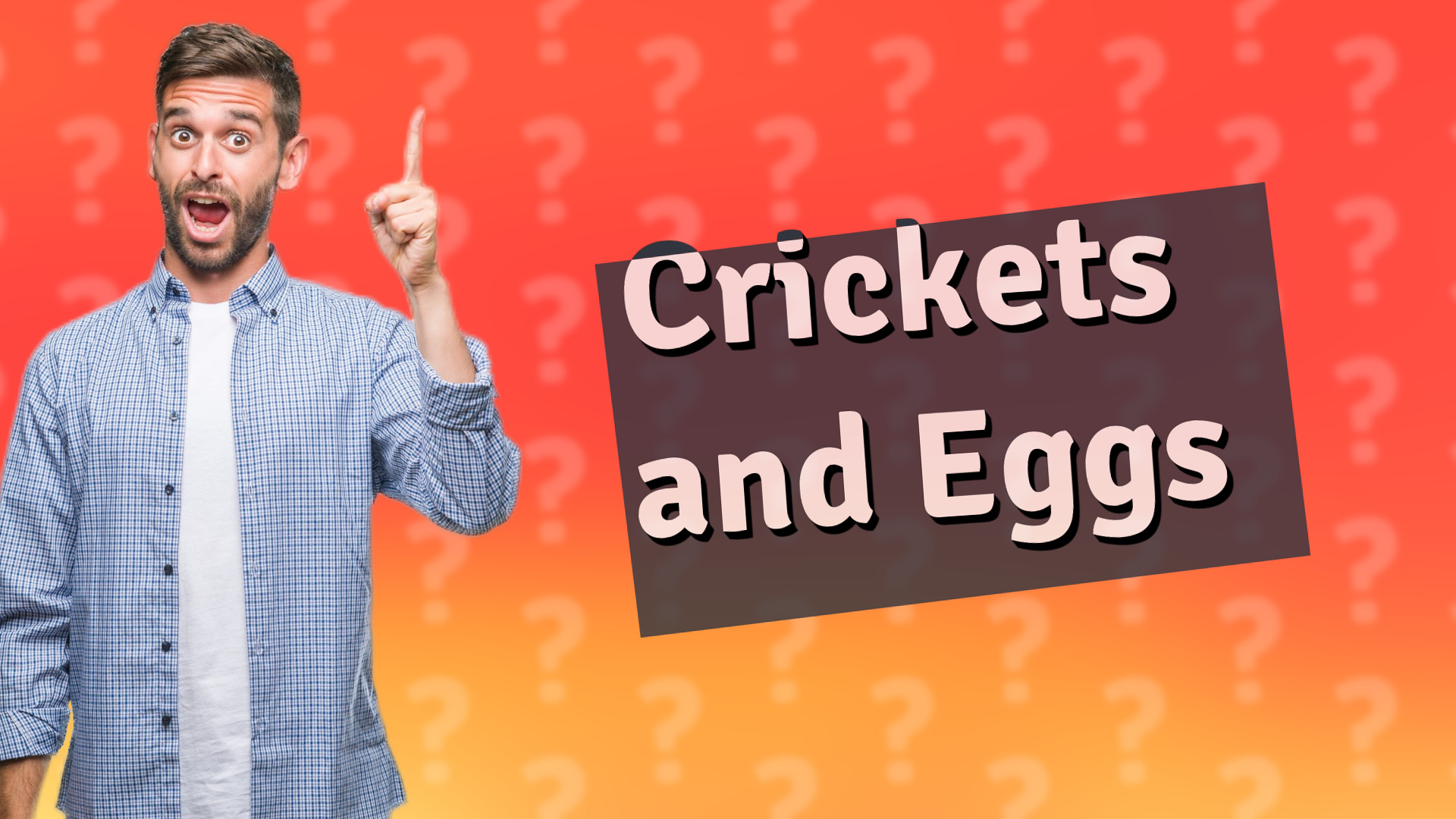 Crickets and Eggs