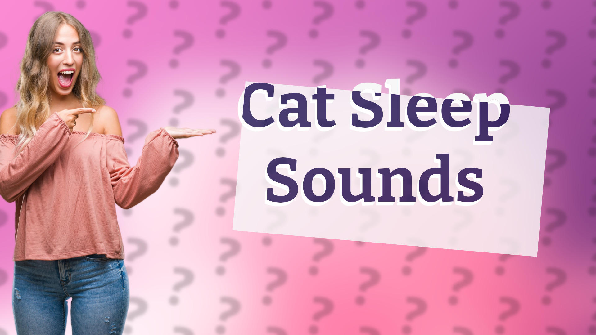 Cat Sleep Sounds