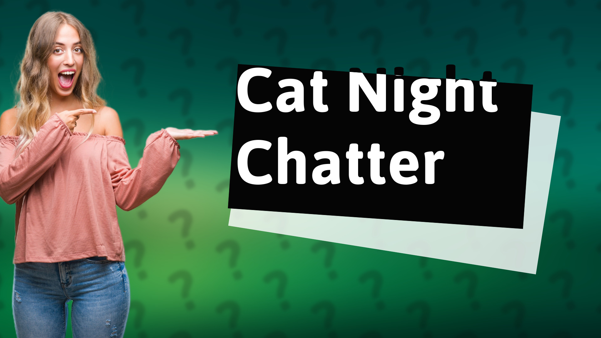 Cat Night Chatter