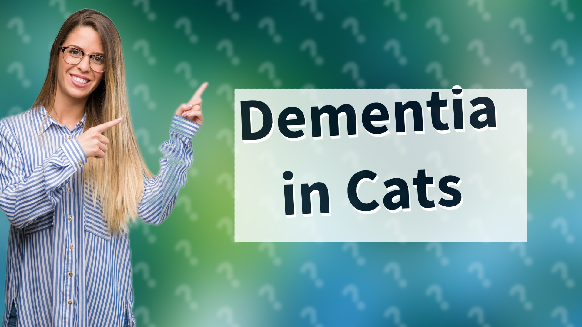 Dementia in Cats