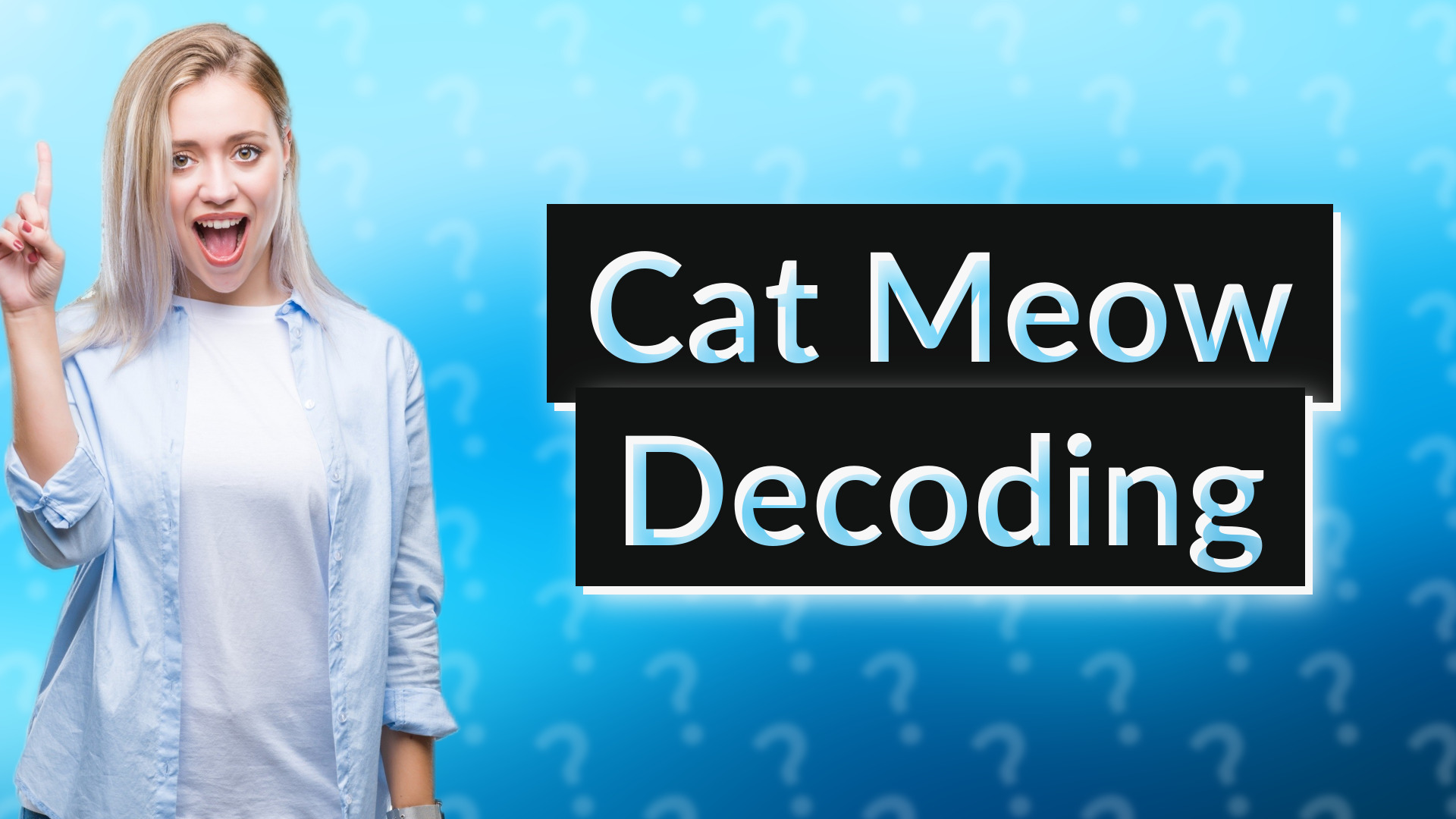 Cat Meow Decoding