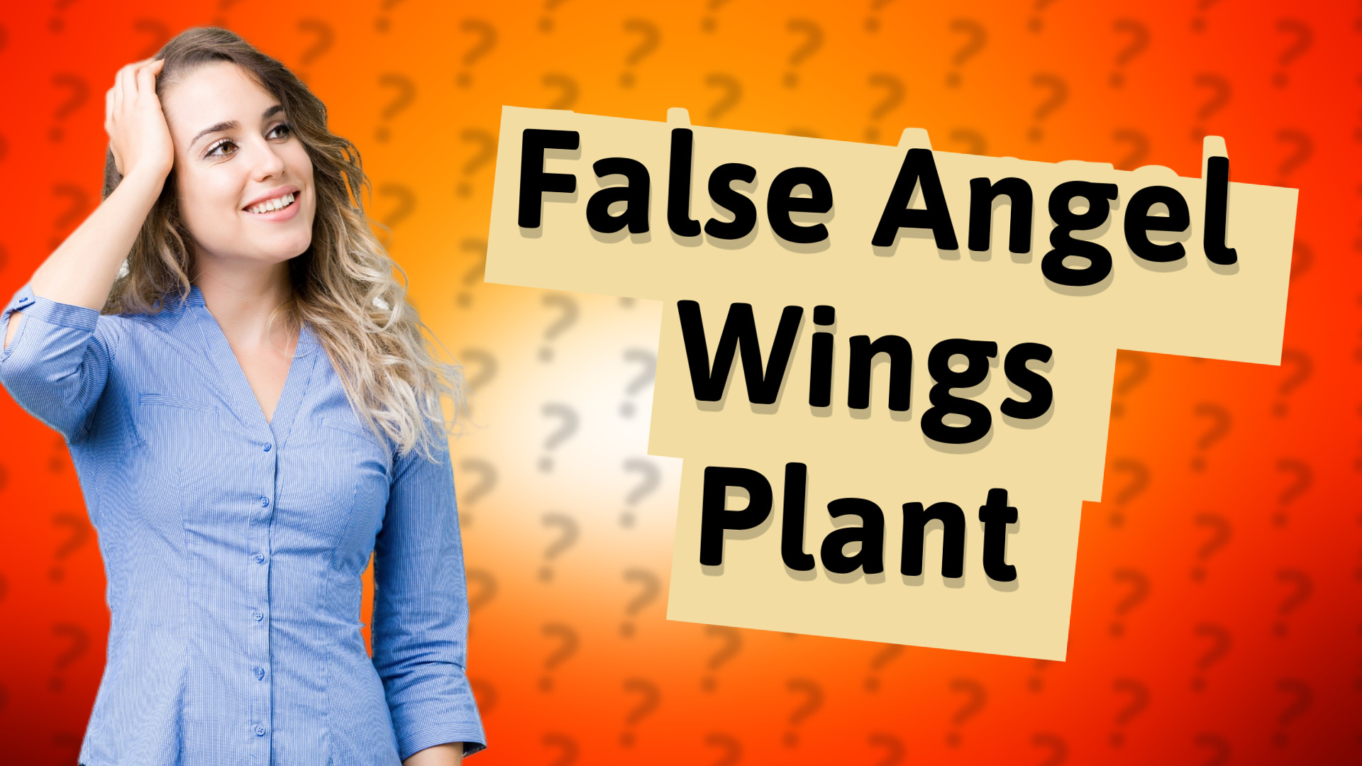 False Angel Wings Plant
