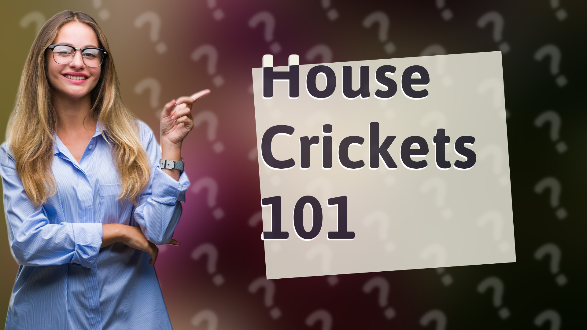 House Crickets 101