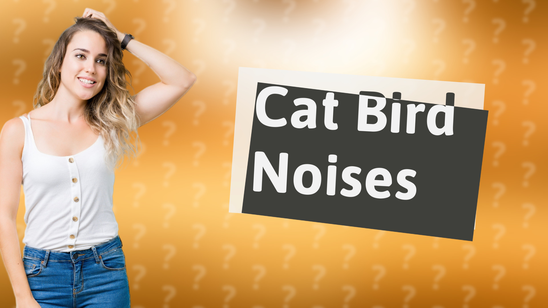 Cat Bird Noises