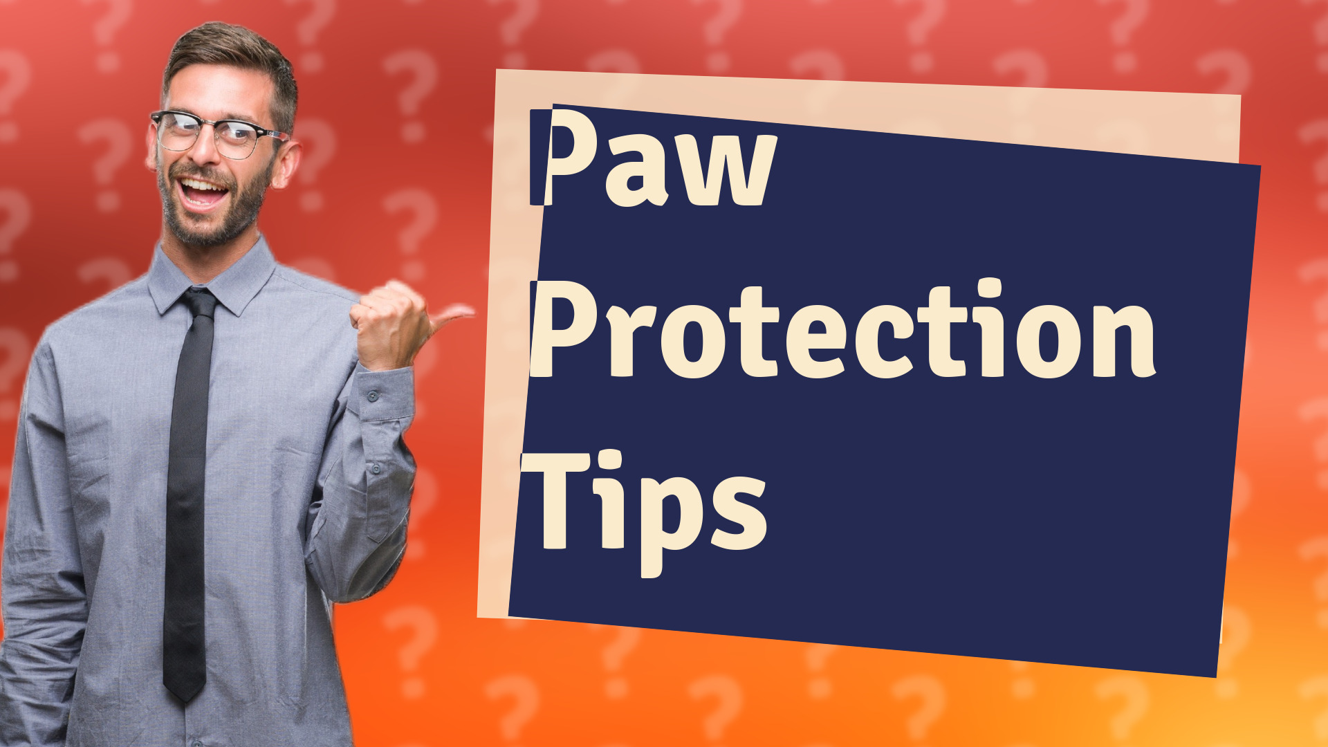 Paw Protection Tips
