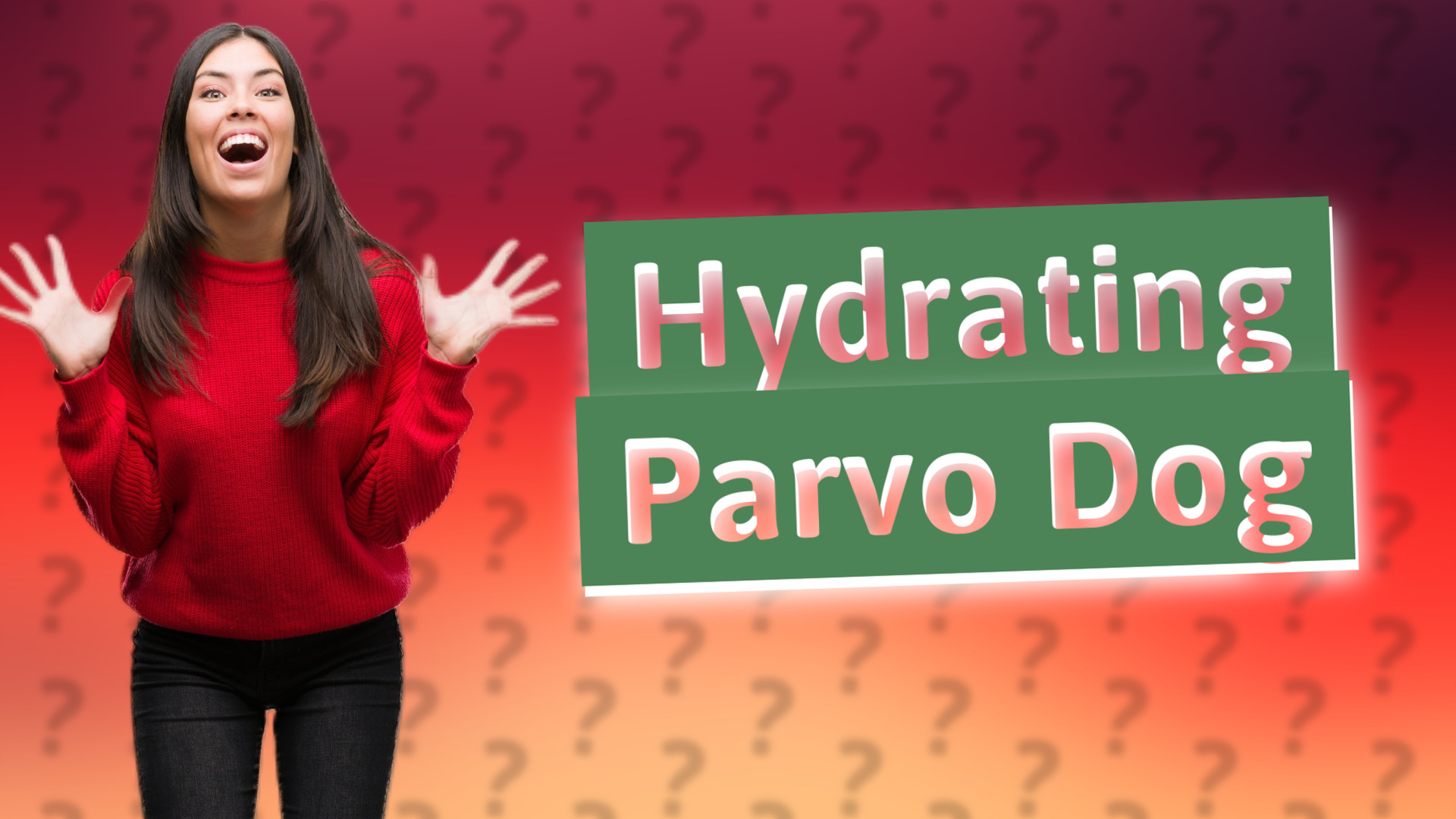 Hydrating Parvo Dog