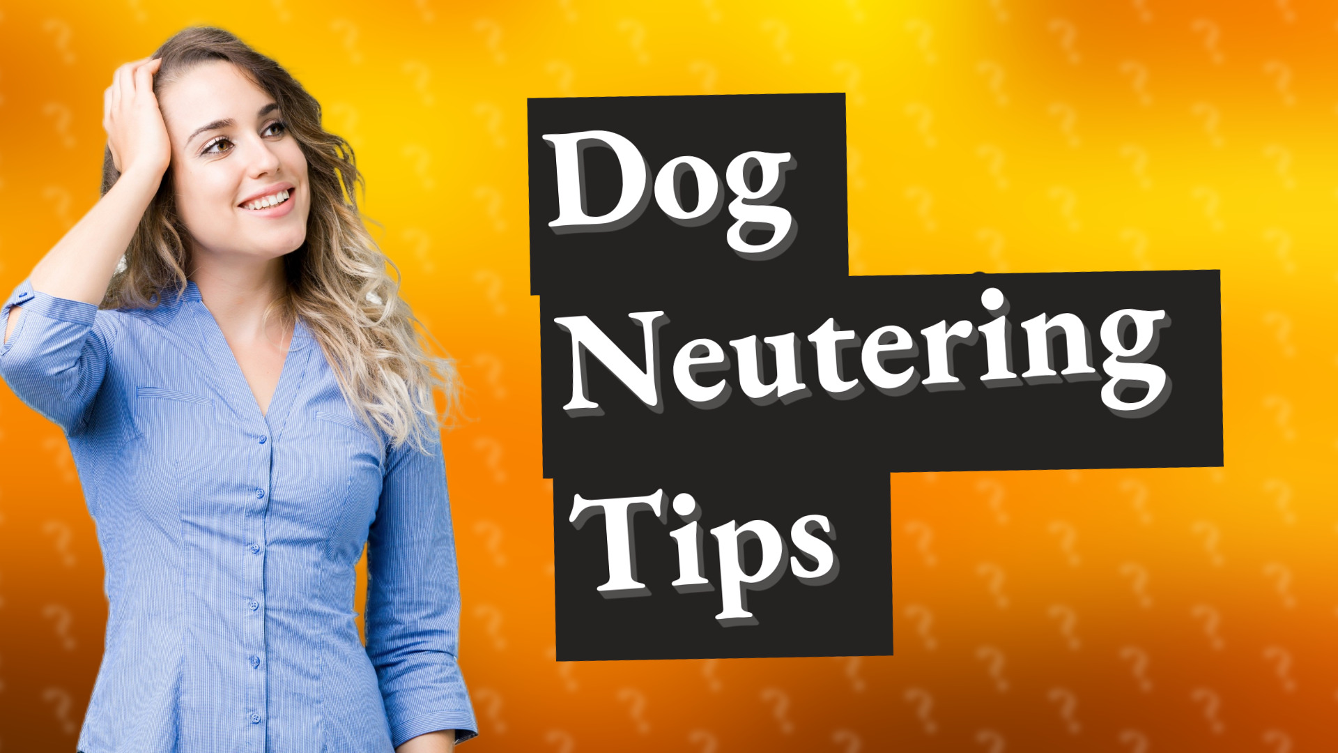 Dog Neutering Tips