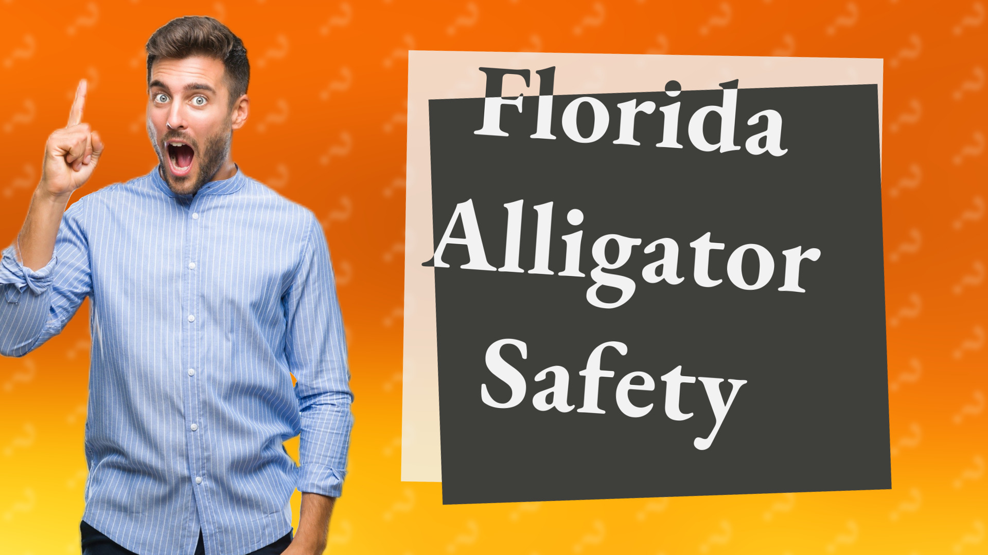 Florida Alligator Safety