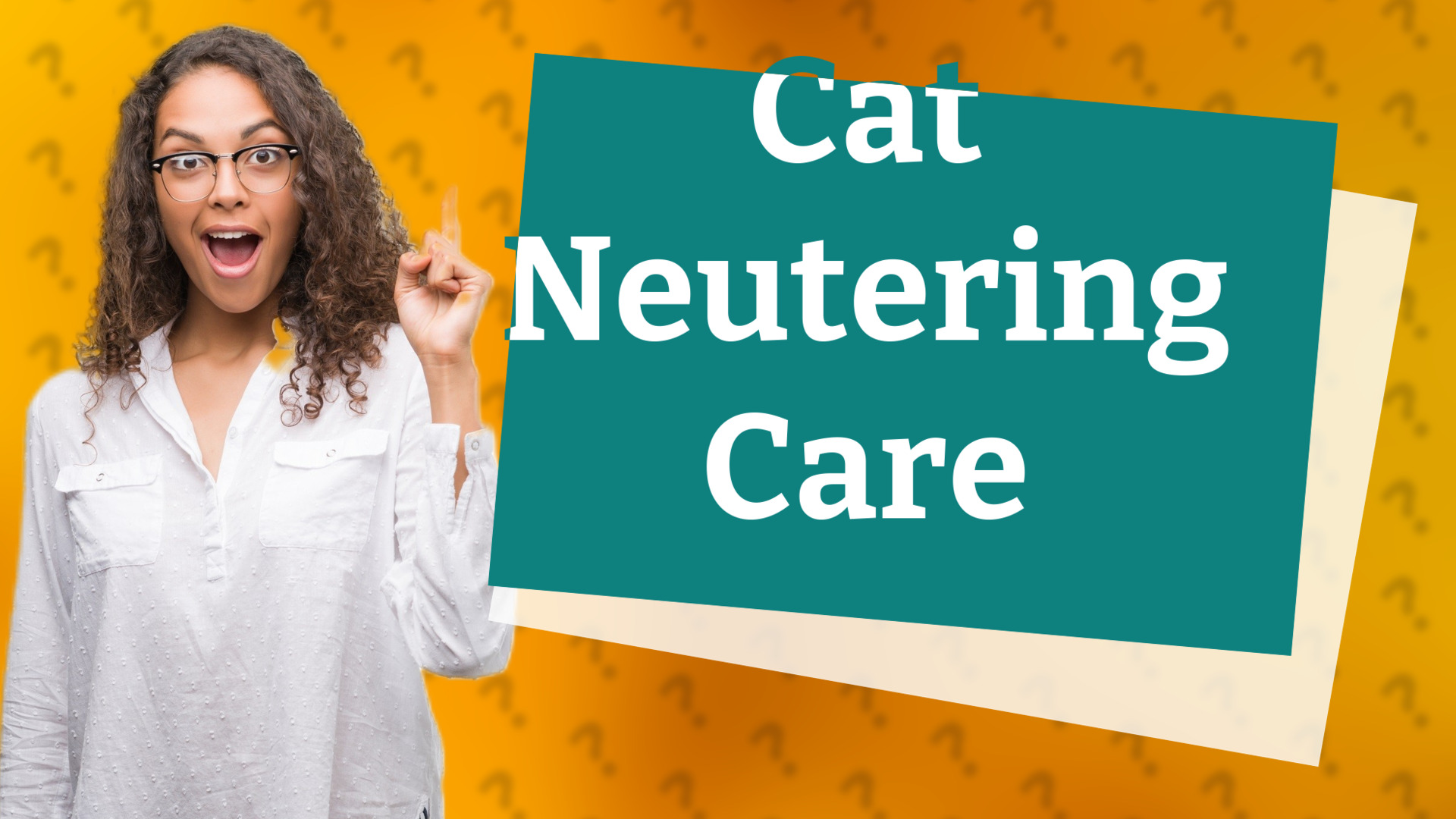 Cat Neutering Care
