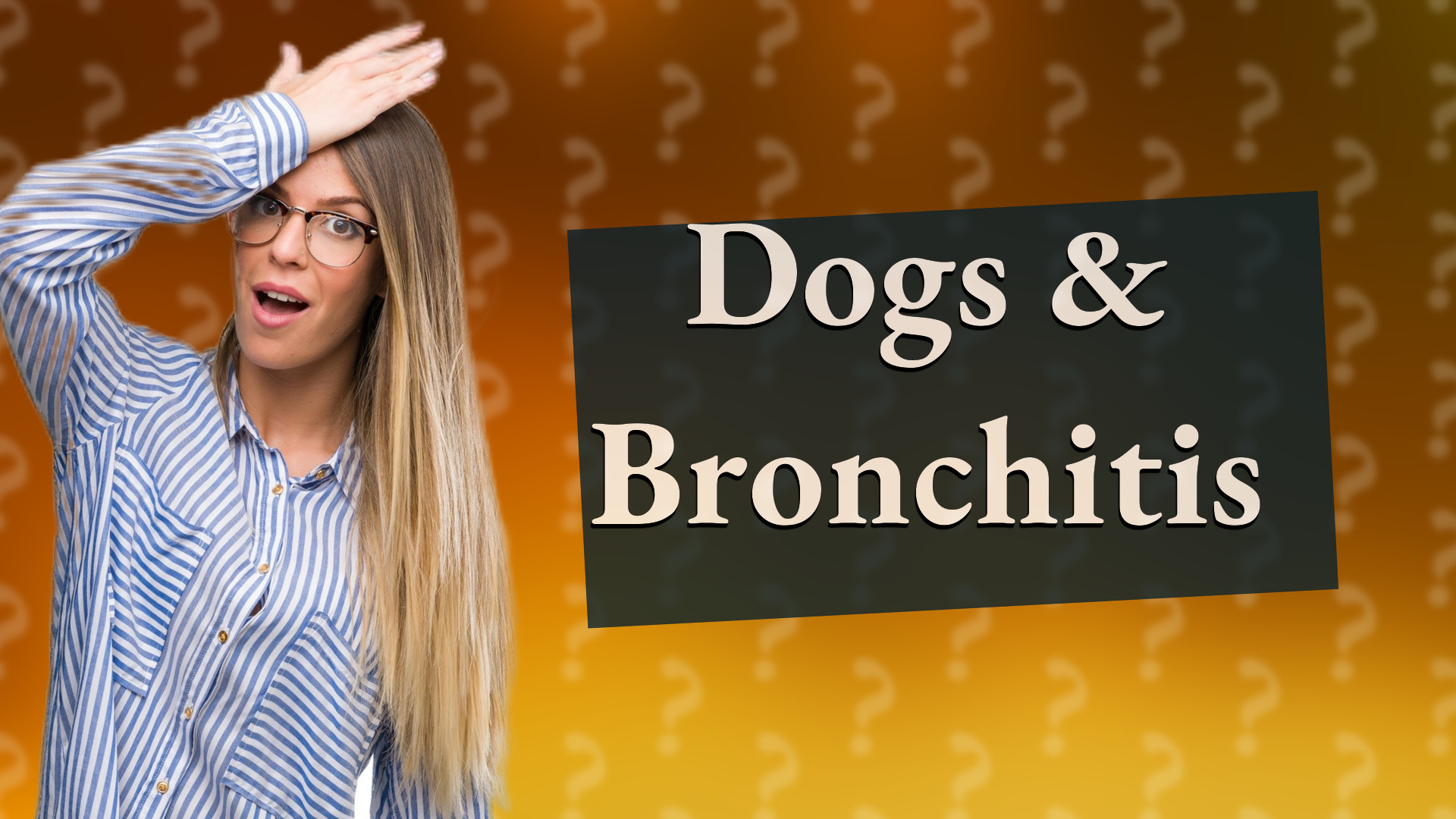 Dogs & Bronchitis