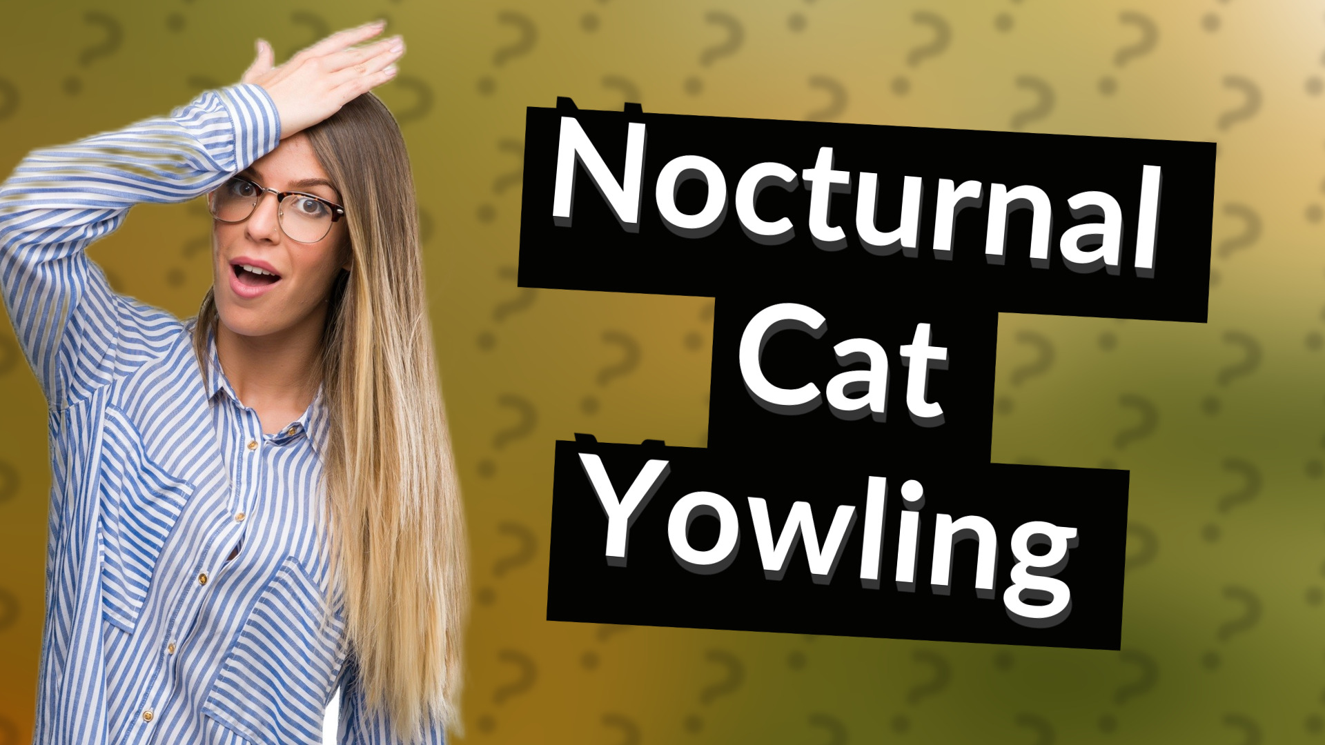 Nocturnal Cat Yowling