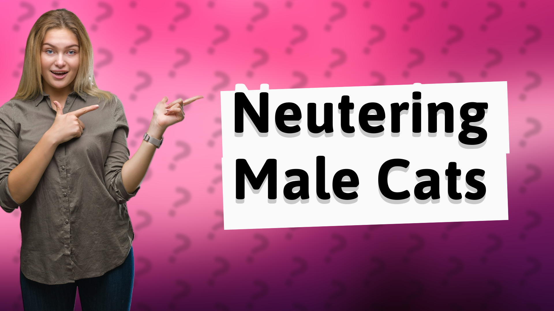Neutering Male Cats