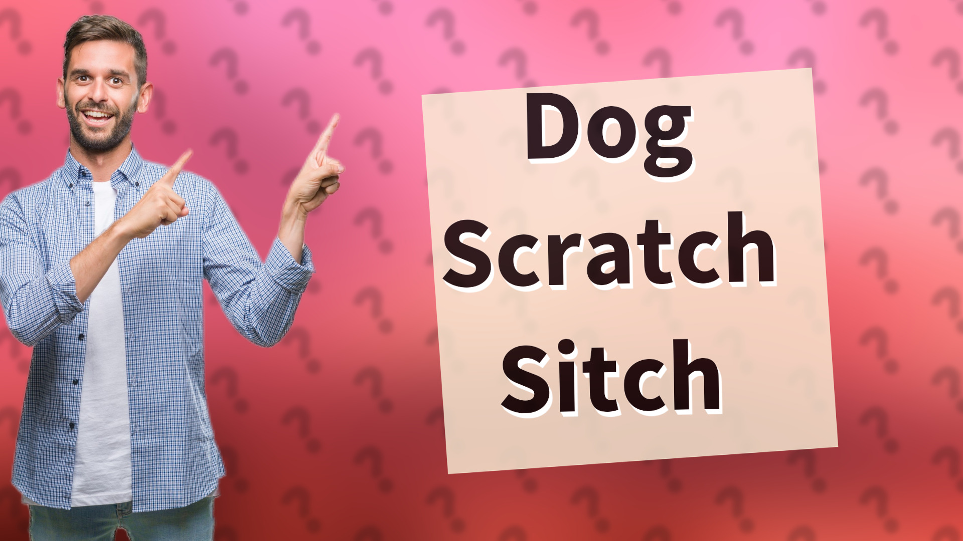 Dog Scratch Sitch