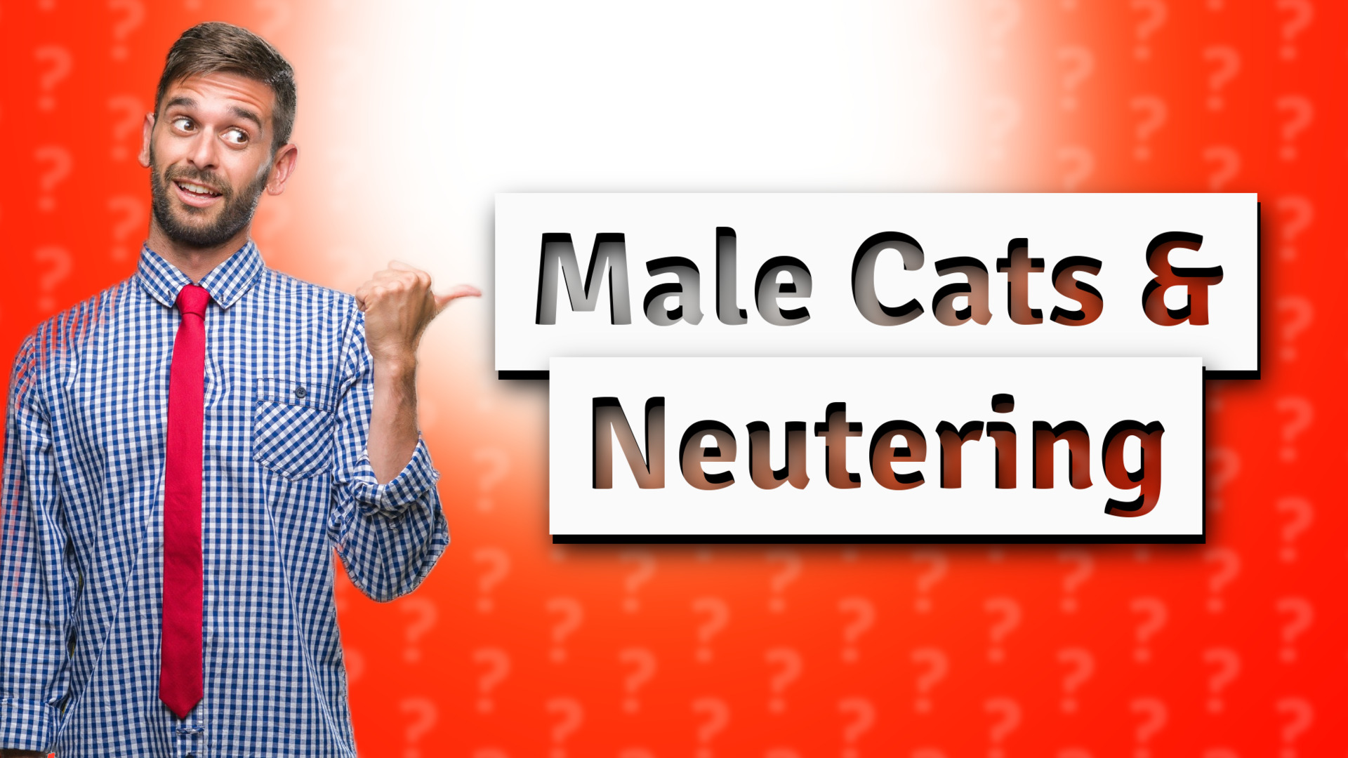 Male Cats & Neutering