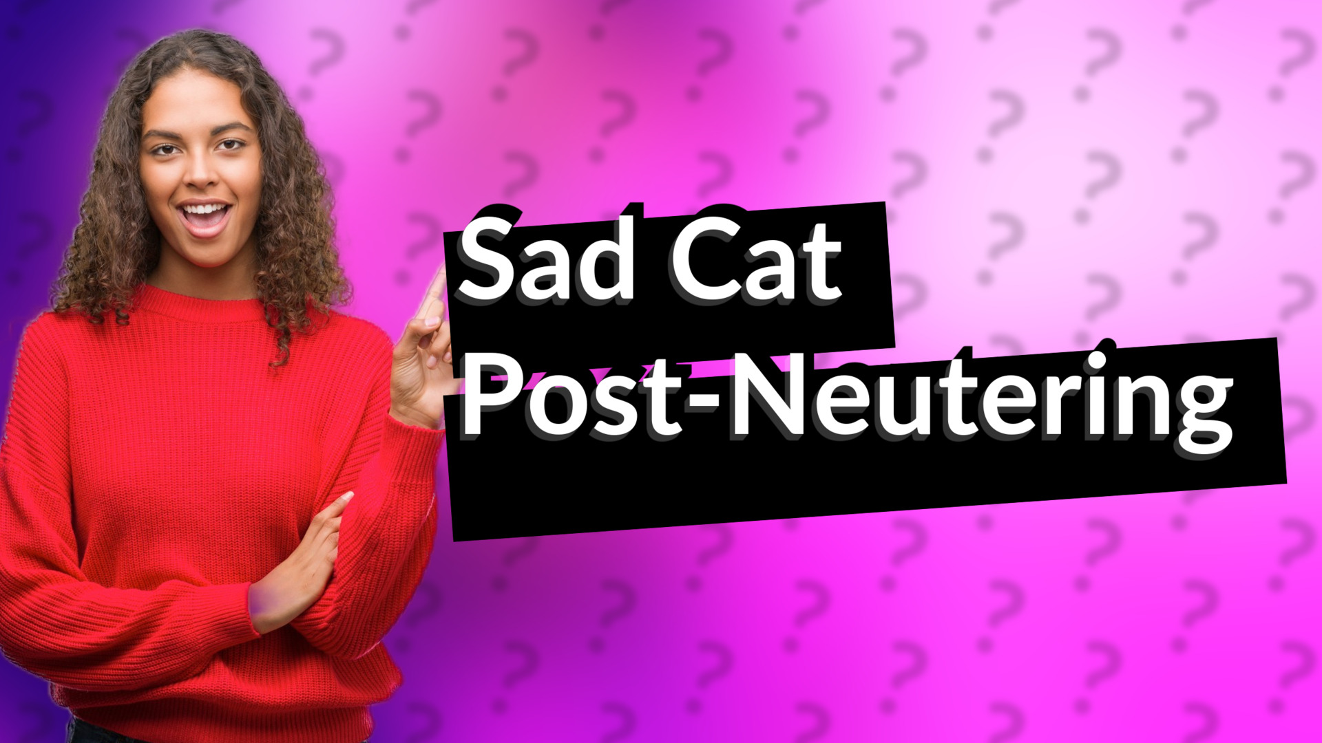 Sad Cat Post-Neutering