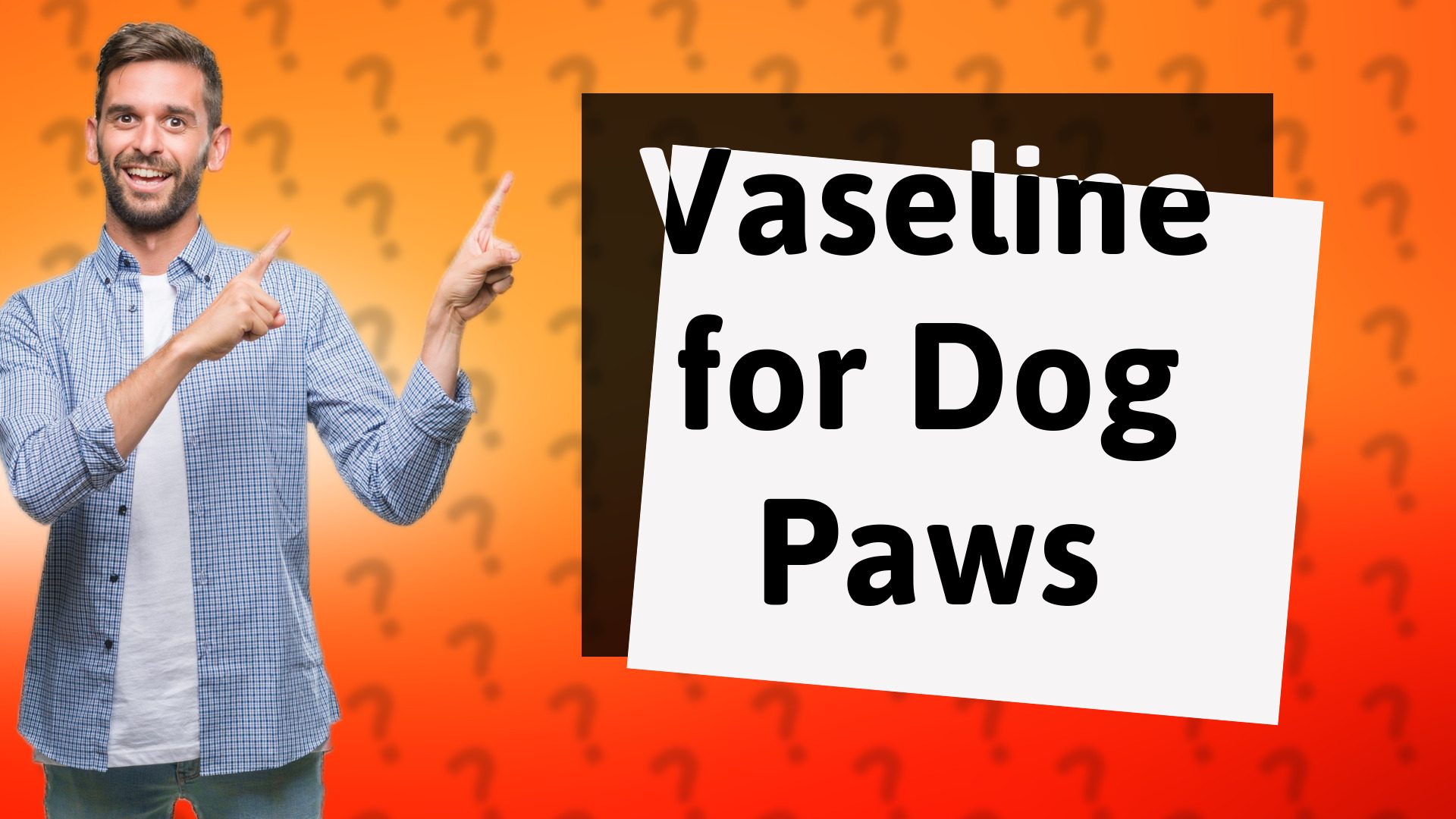 Vaseline for Dog Paws