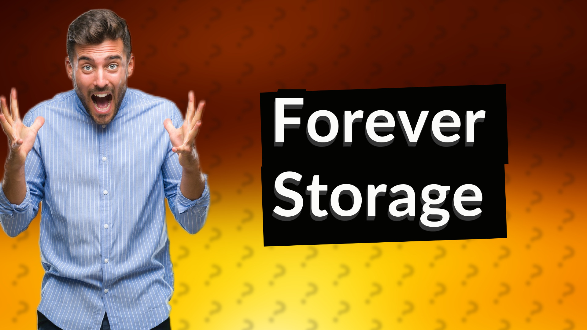 Forever Storage