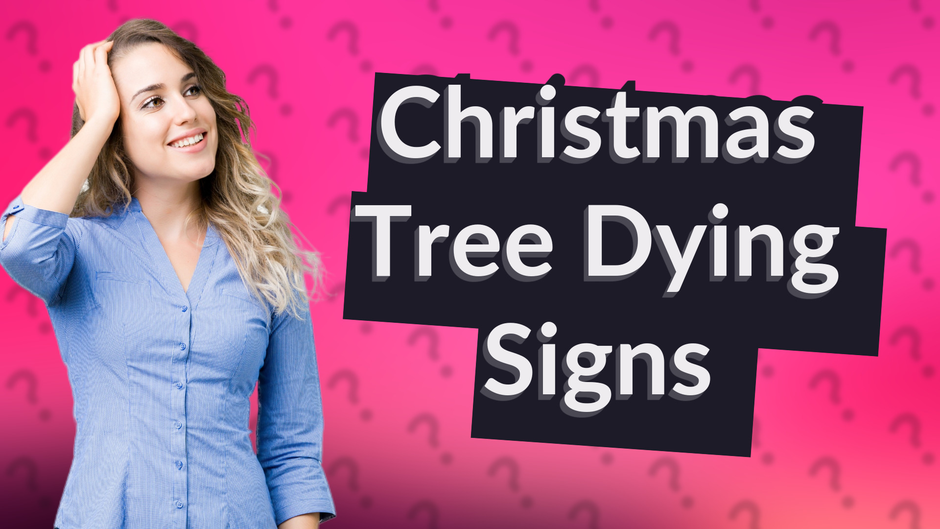 Christmas Tree Dying Signs