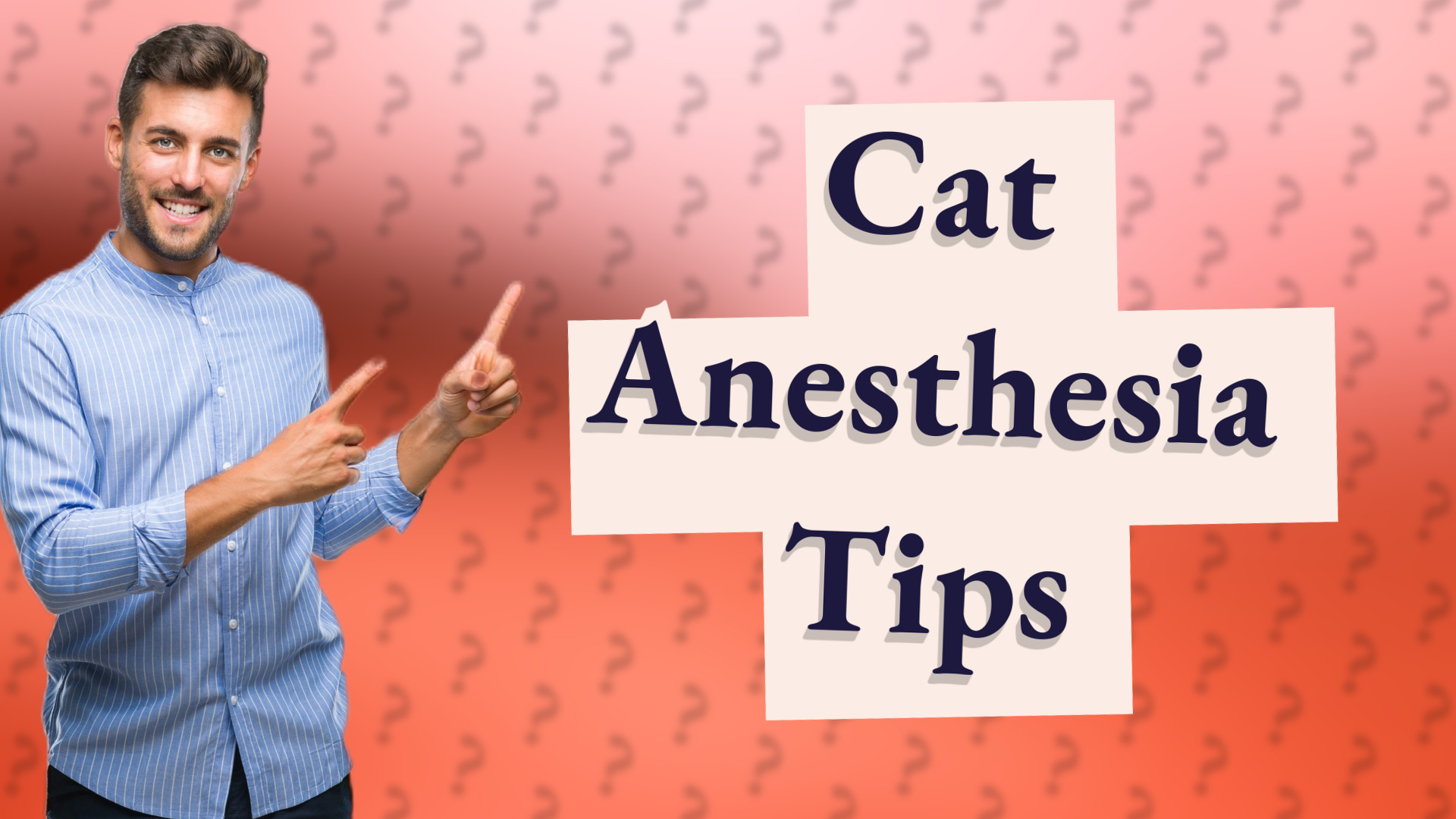 Cat Anesthesia Tips