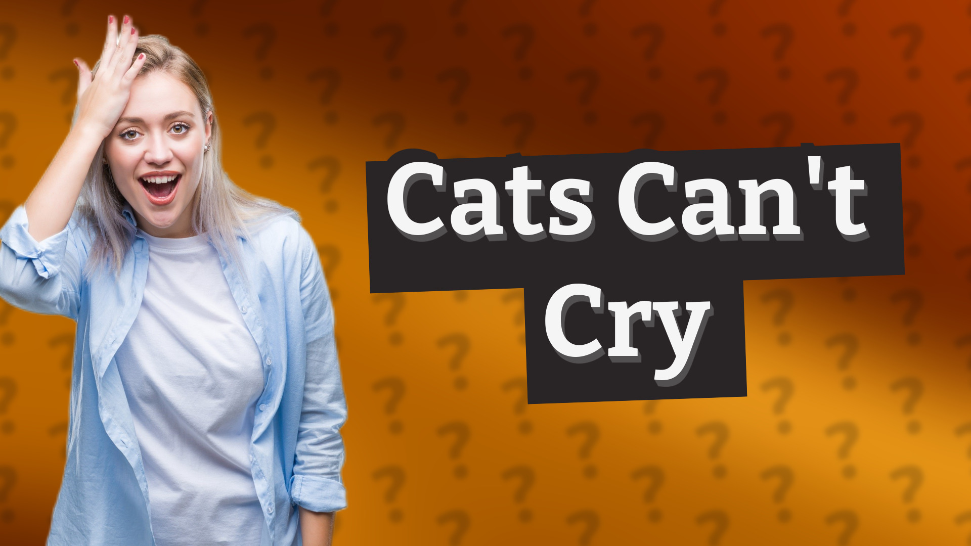 Cats Can't Cry