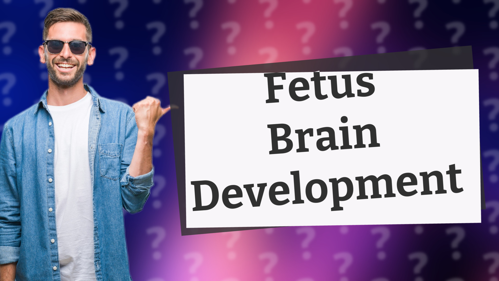 Fetus Brain Development
