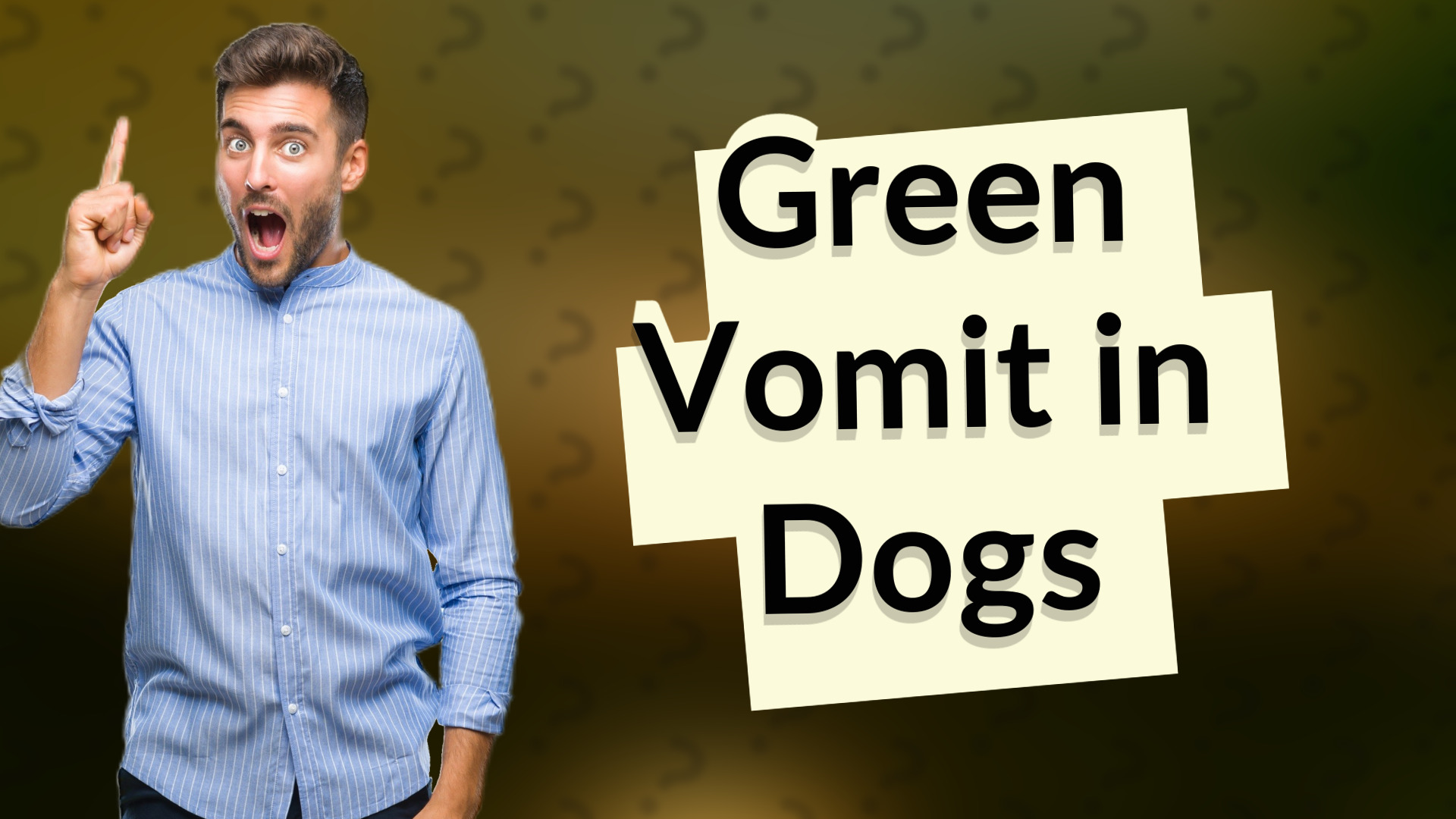 Green Vomit in Dogs