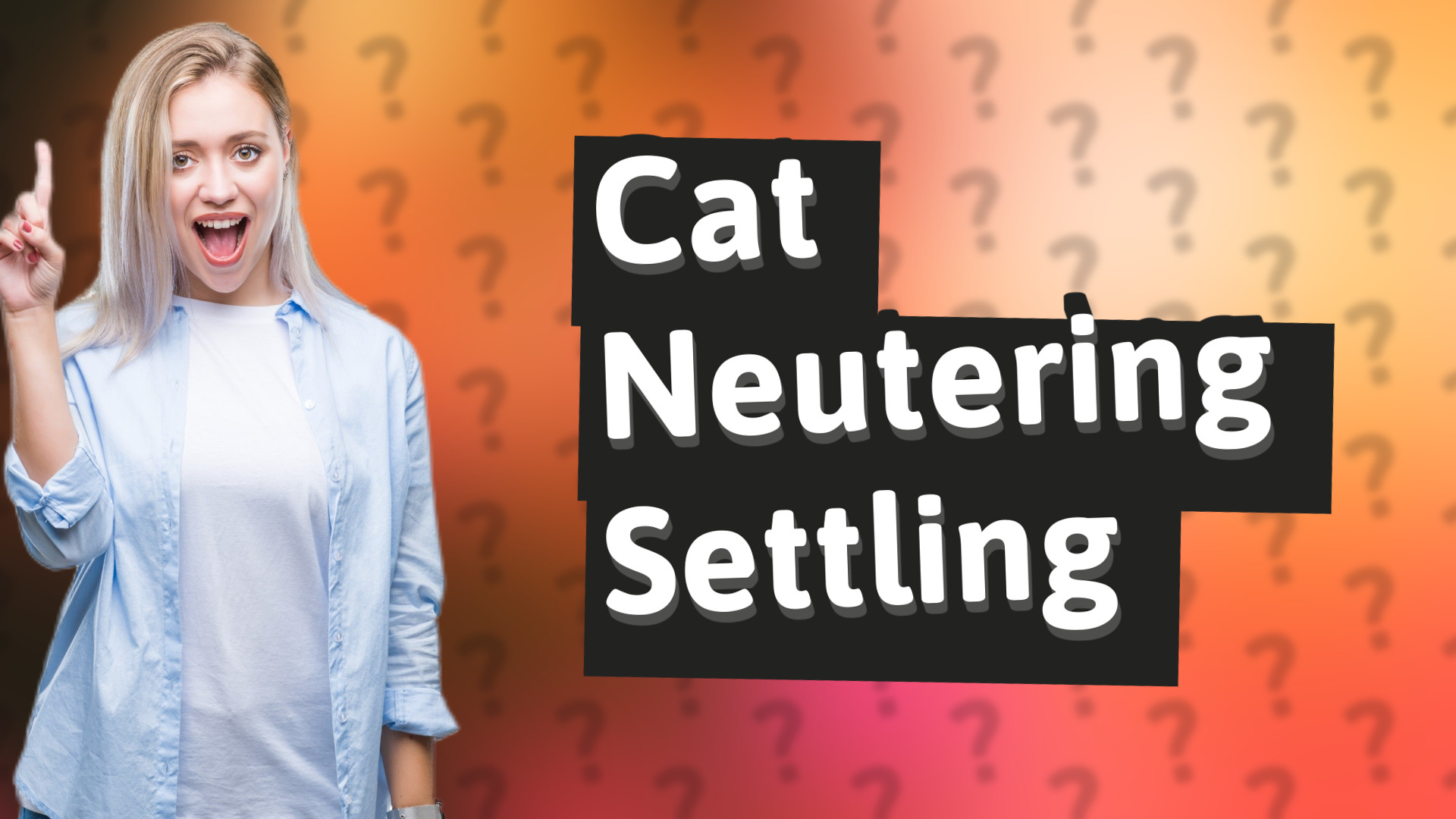 Cat Neutering Settling