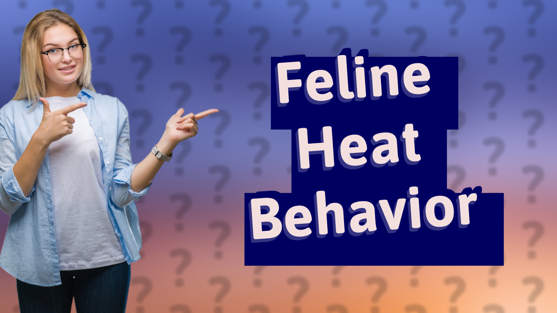 Feline Heat Behavior