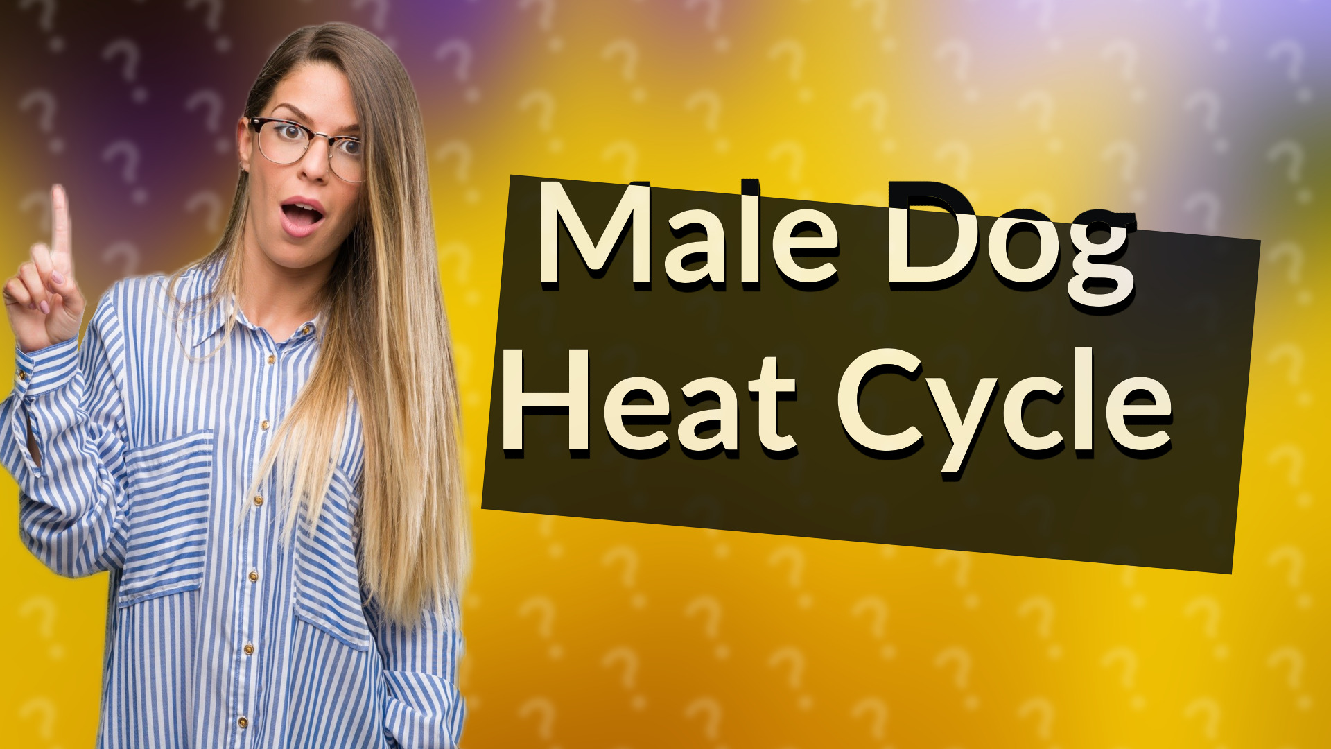 Male Dog Heat Cycle