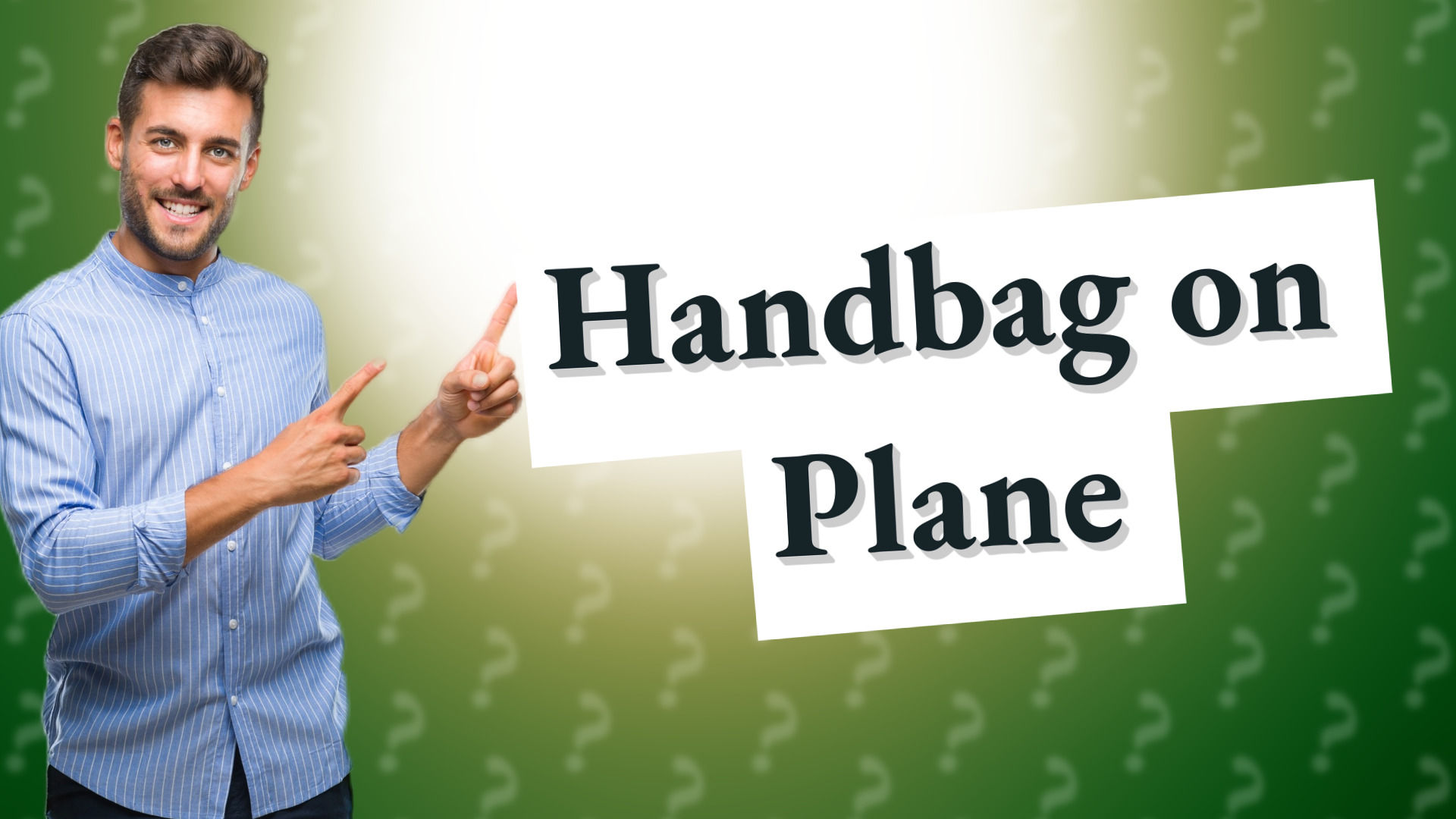 Handbag on Plane