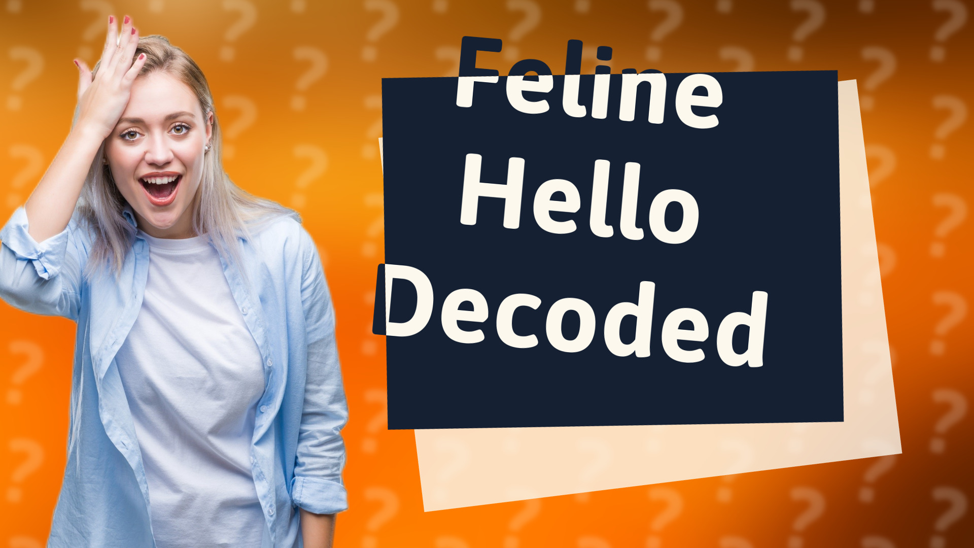 Feline Hello Decoded
