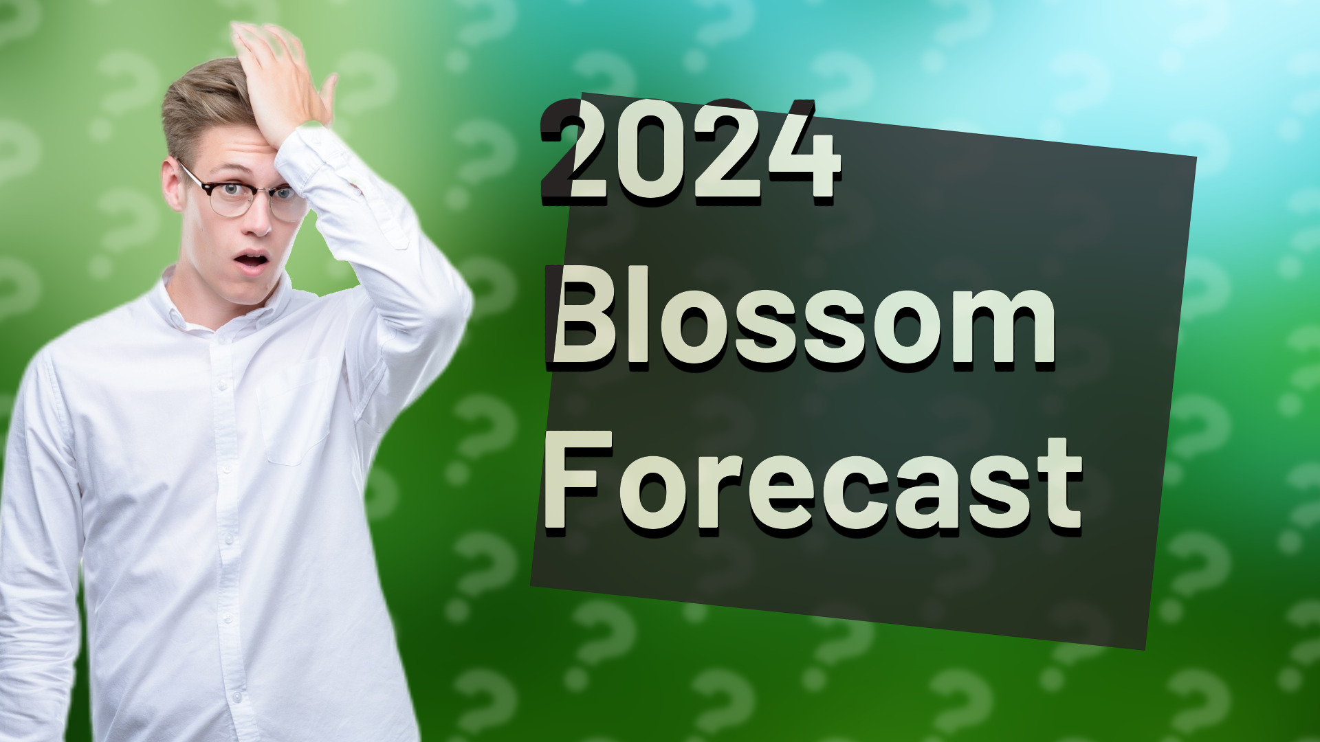 2024 Blossom Forecast