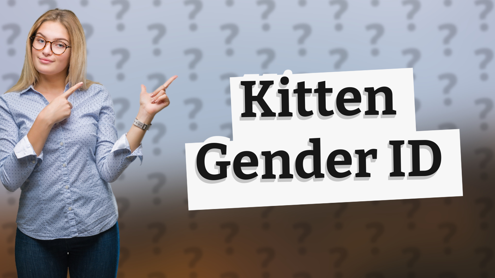 Kitten Gender ID