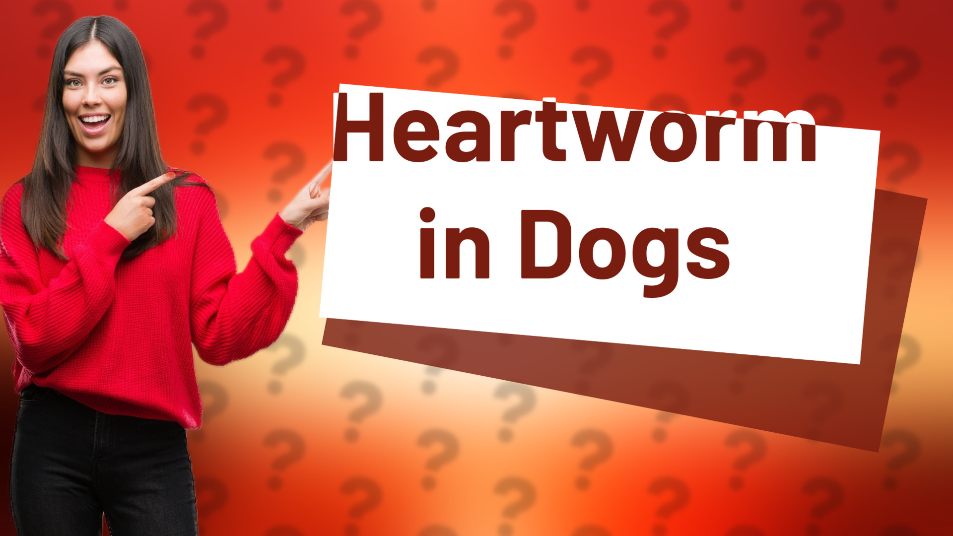 Heartworm in Dogs
